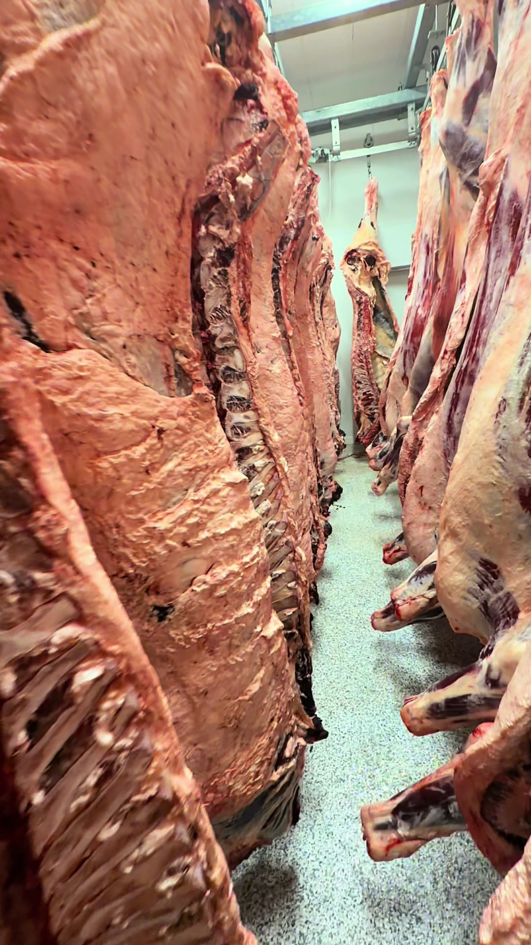 @Millville Valley Meats