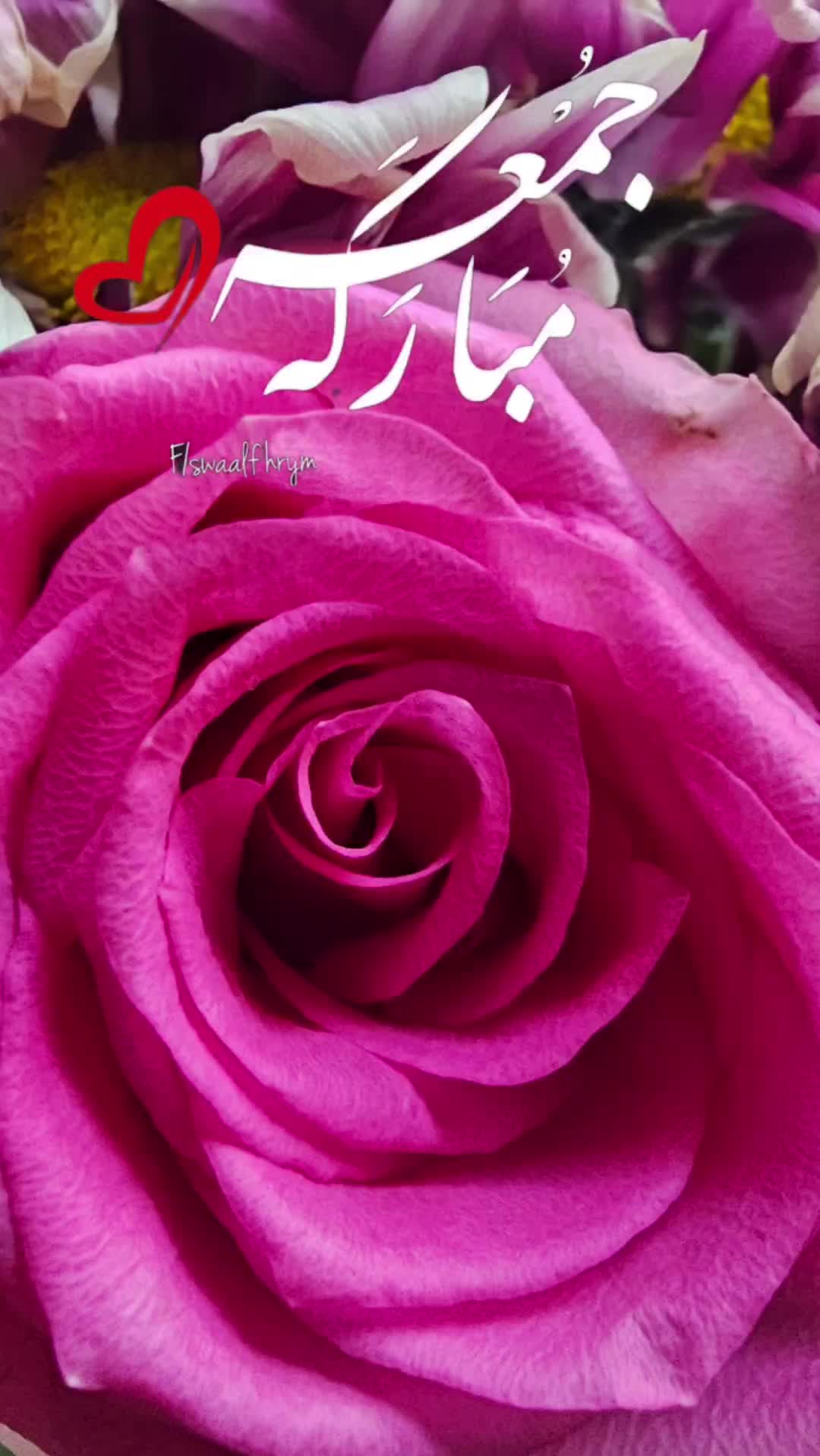 @shaz786🦋🦋🌺