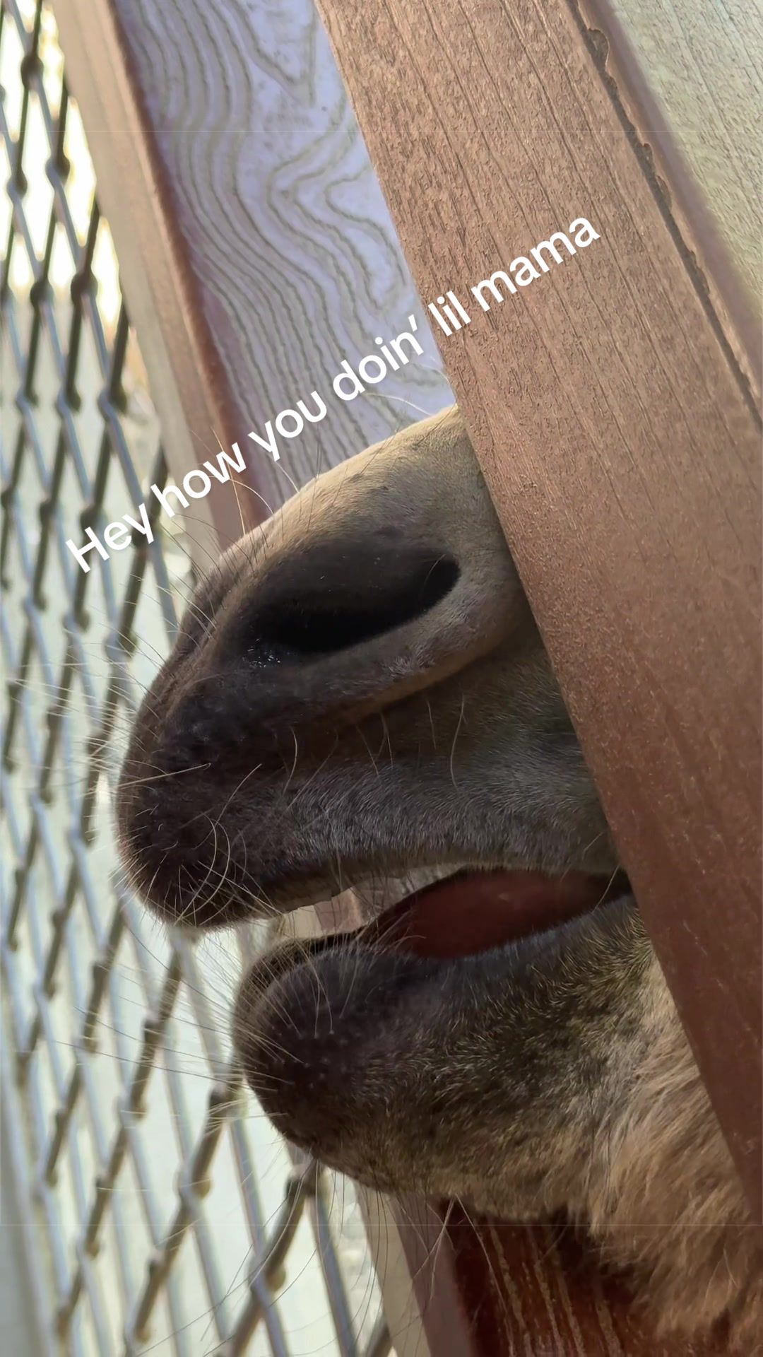@Olivia