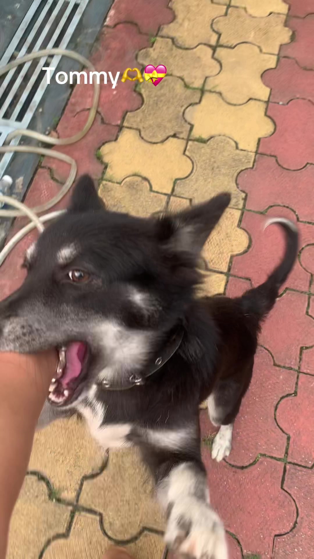 @💫