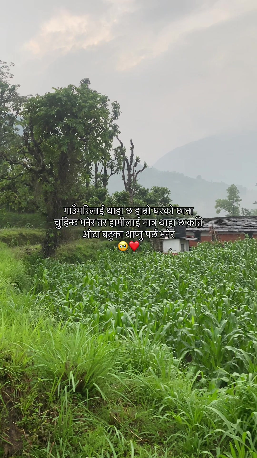 @Mr_ Chhetri🇳🇵