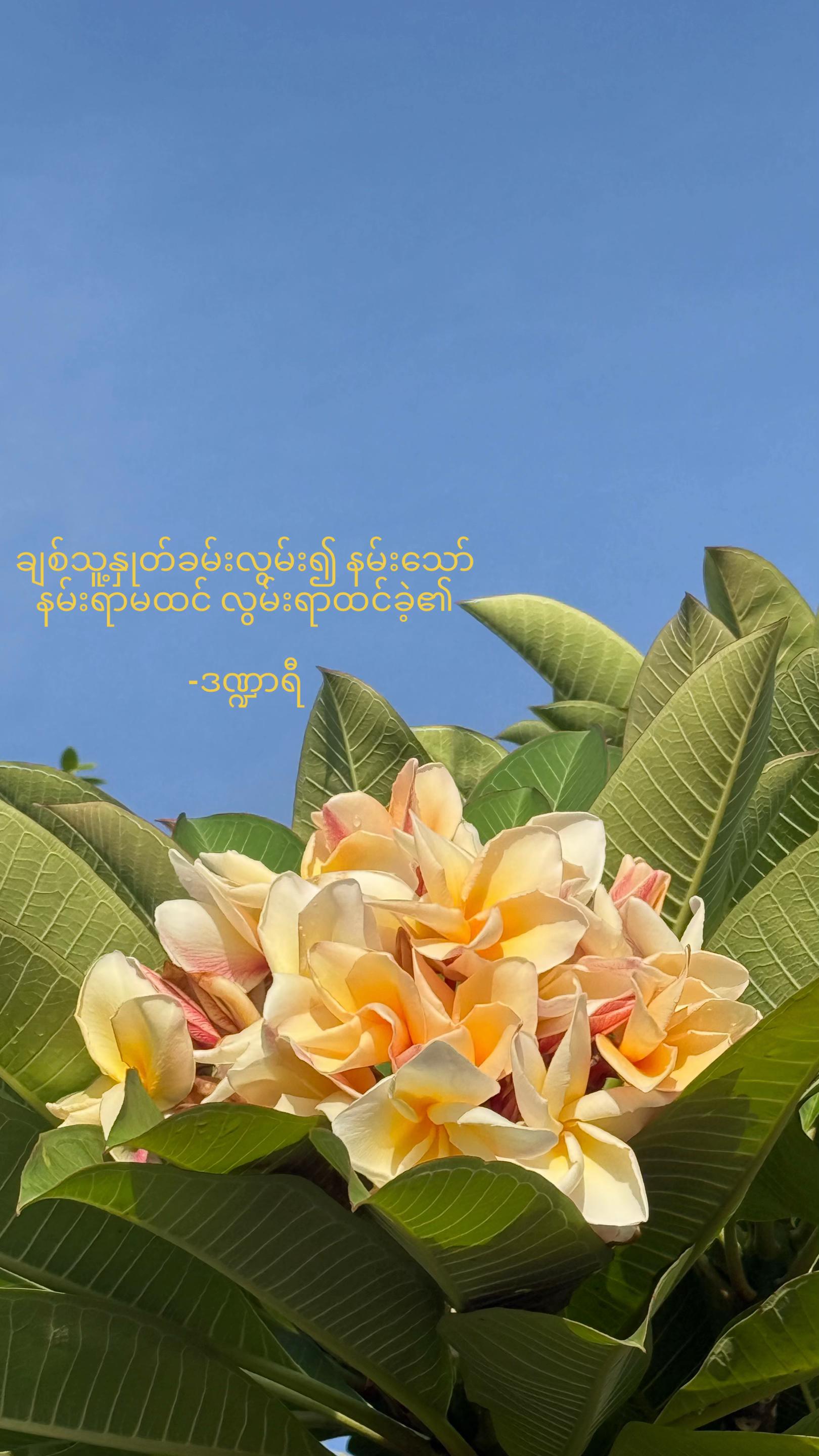 @livingsoliloquy