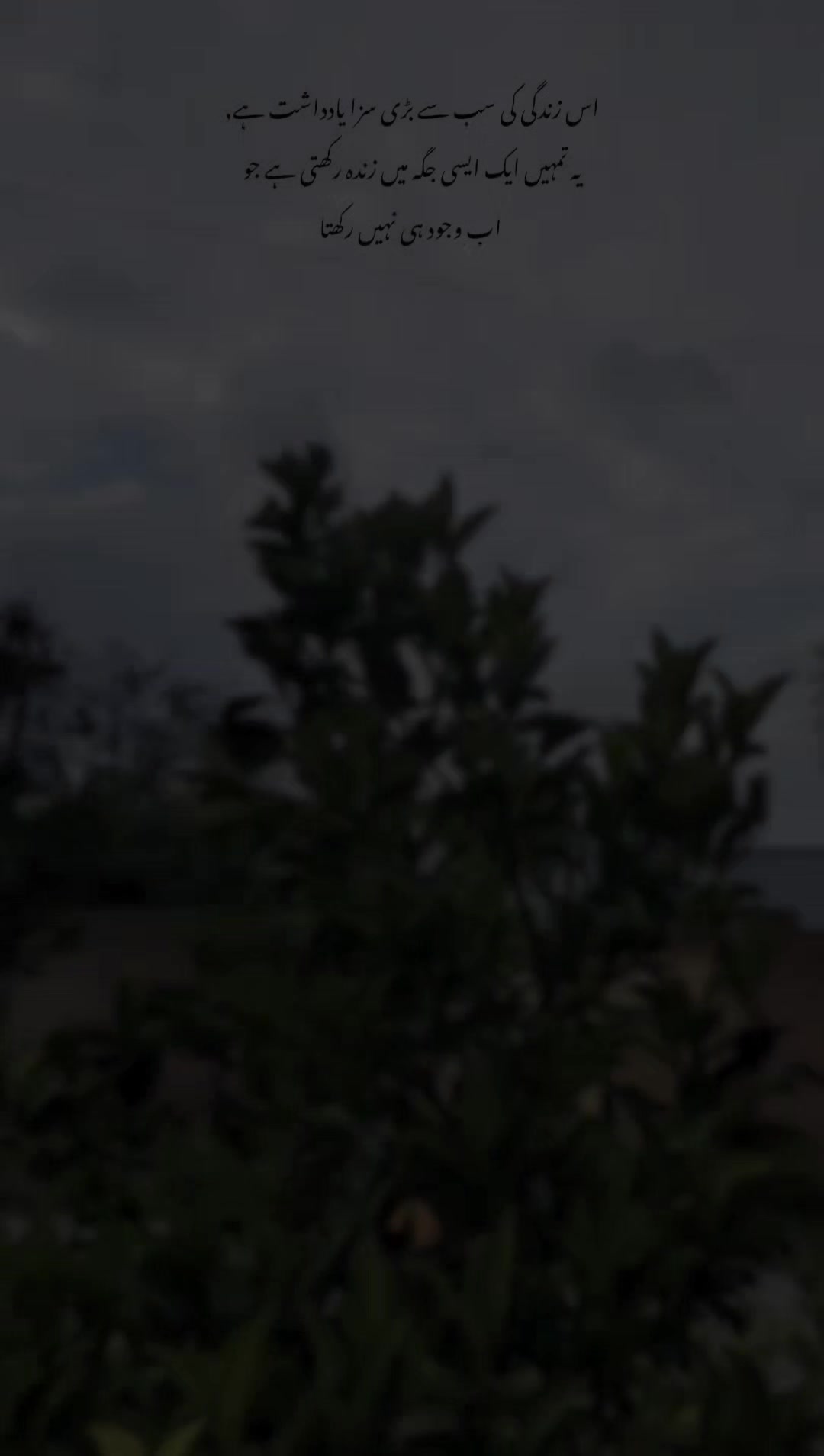 @Laiبa🥀💫