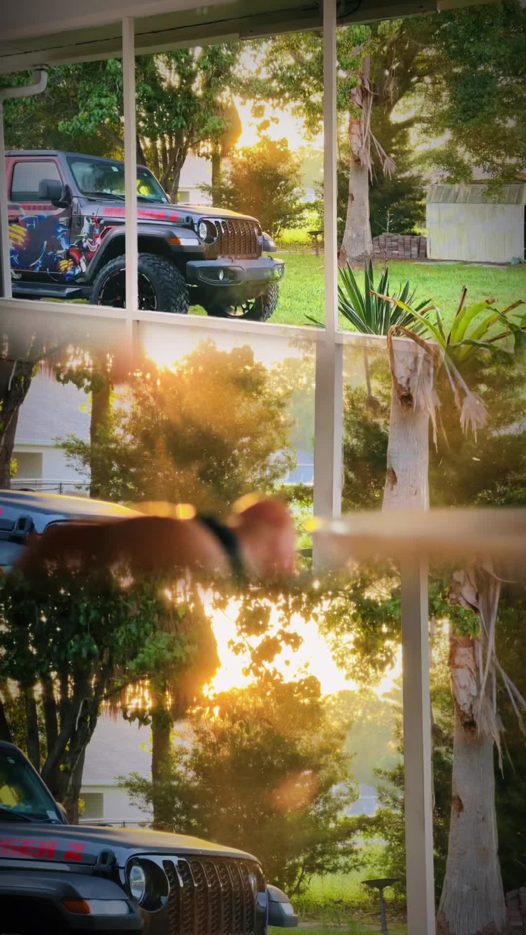 @sammy3230