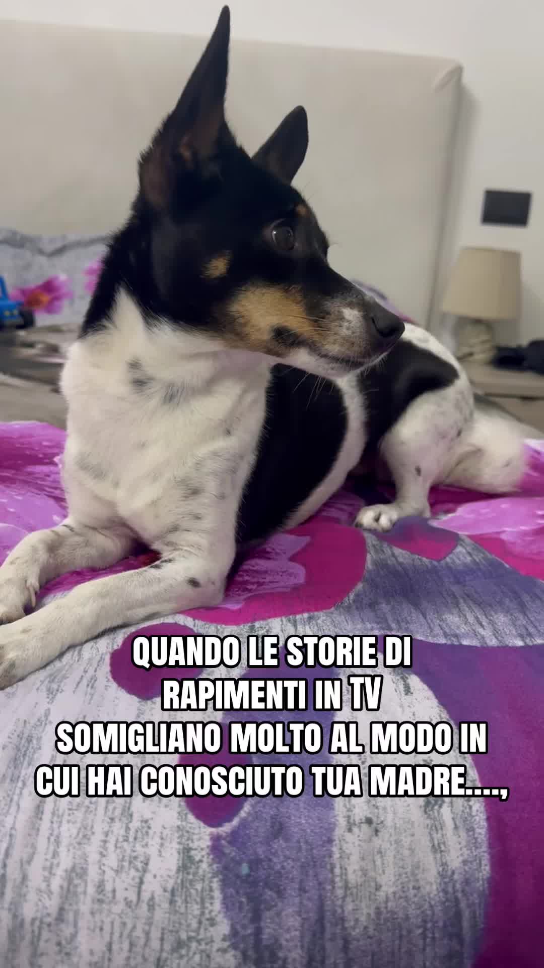 @💎Emanuela80🐾💎
