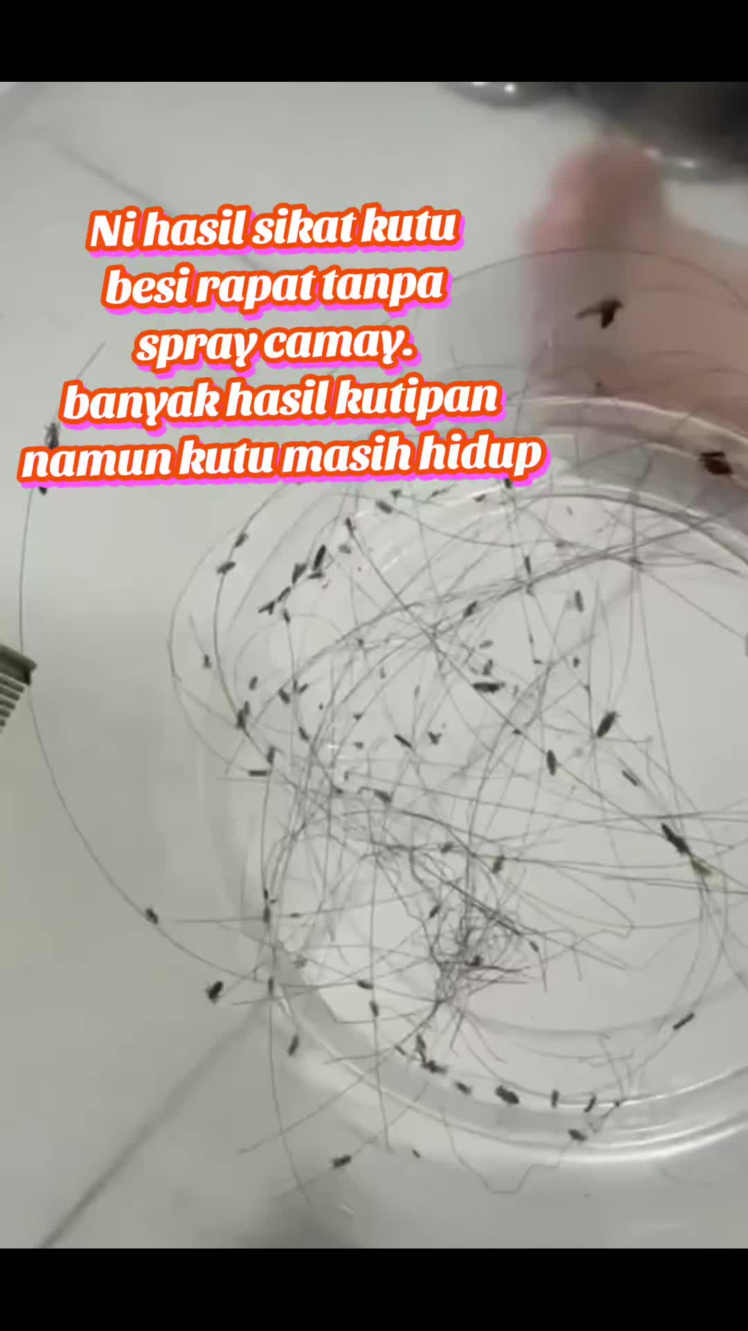 @MALAGHAZALI