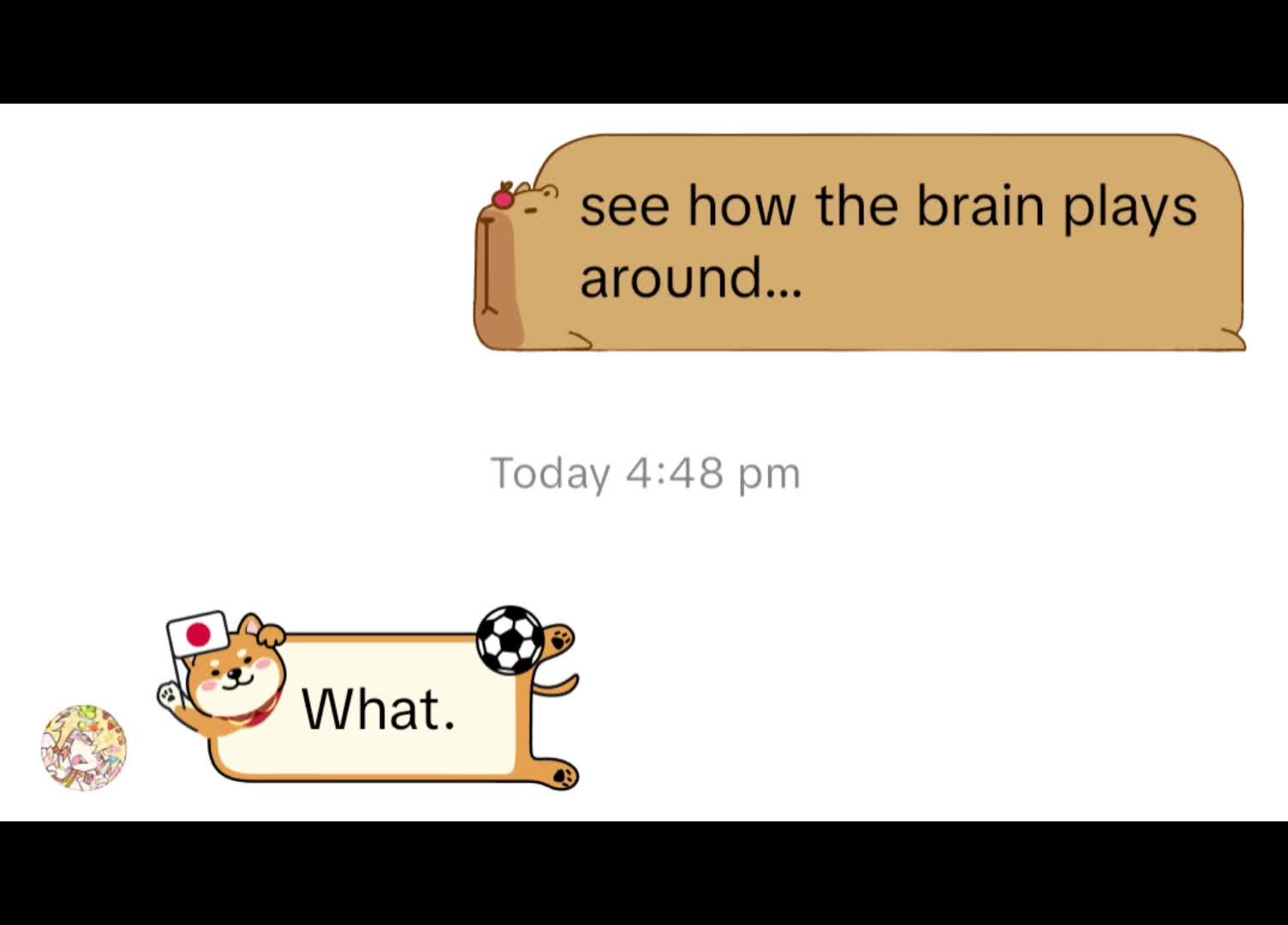 @(MER)مير