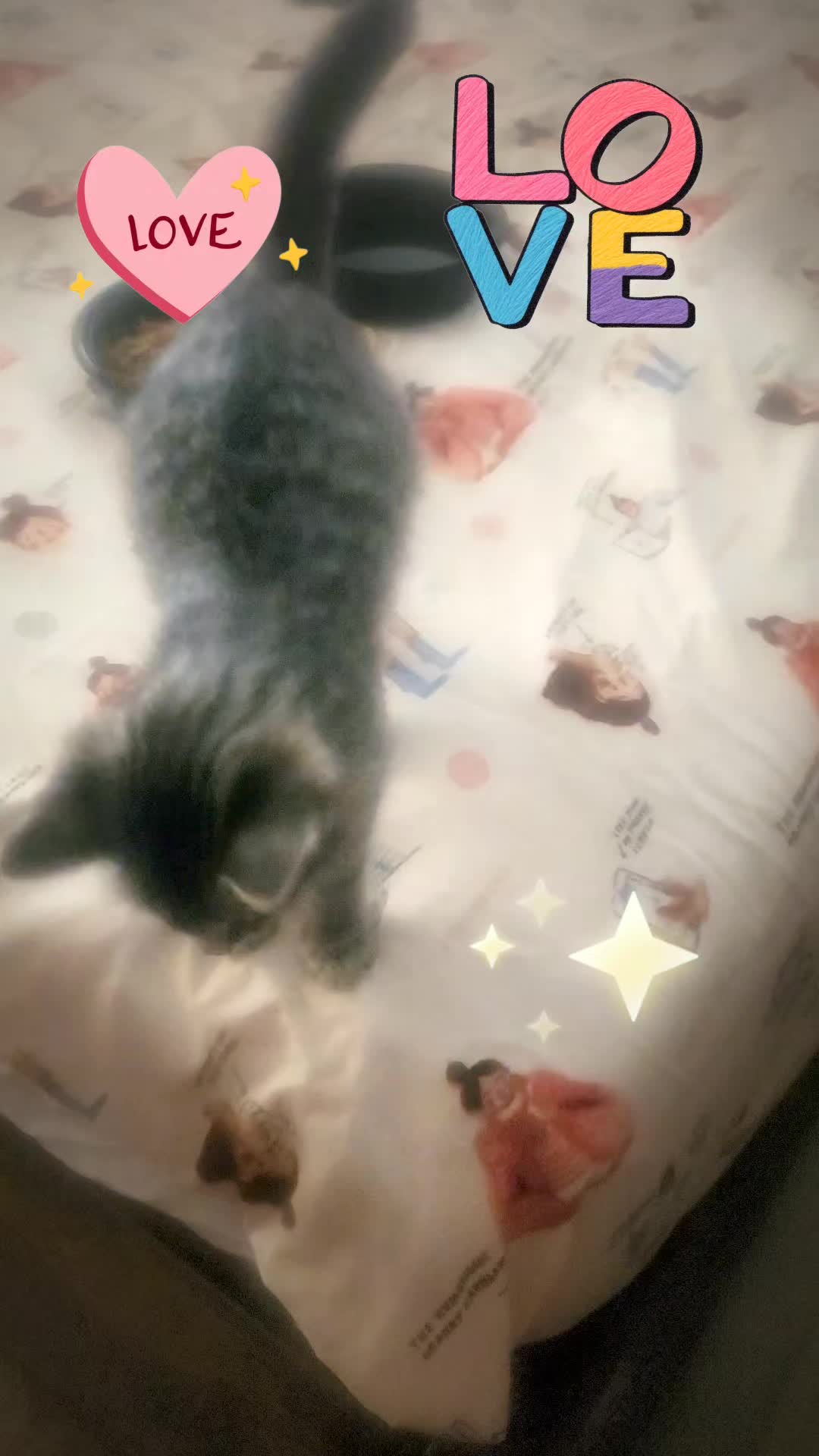 @Liliana Contreras🐥💜🐨🍉✨️👑