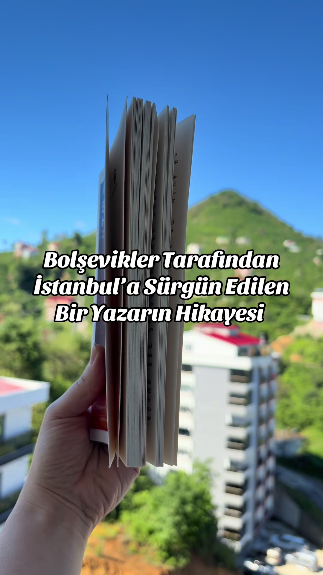 @İstanbul Kedisi