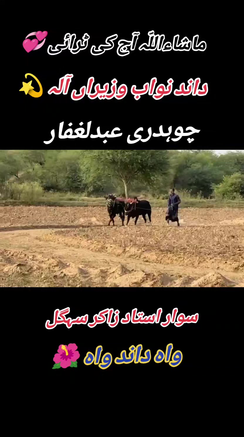 @Ateeq Jutt