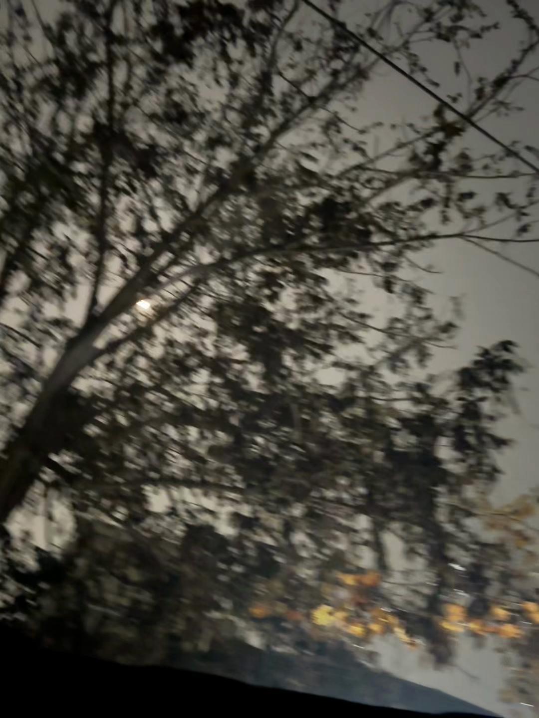 @Shahab khalil