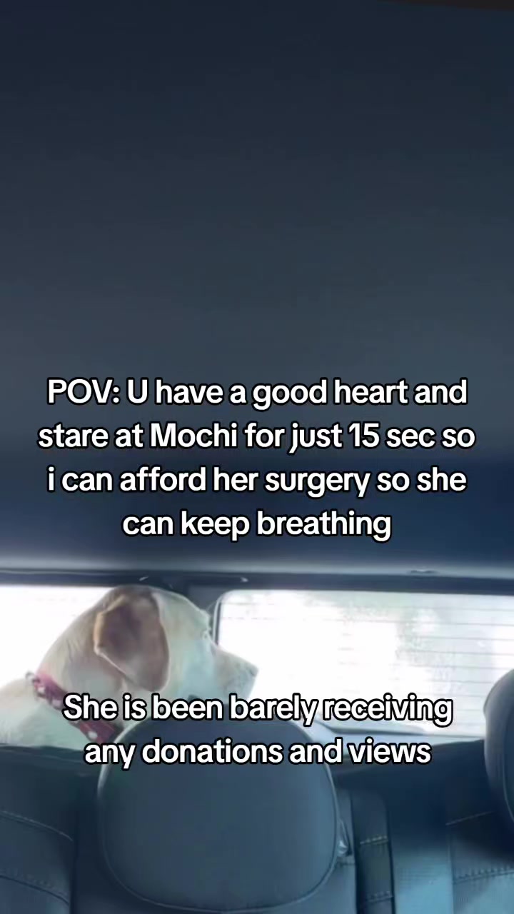 @janedoect01