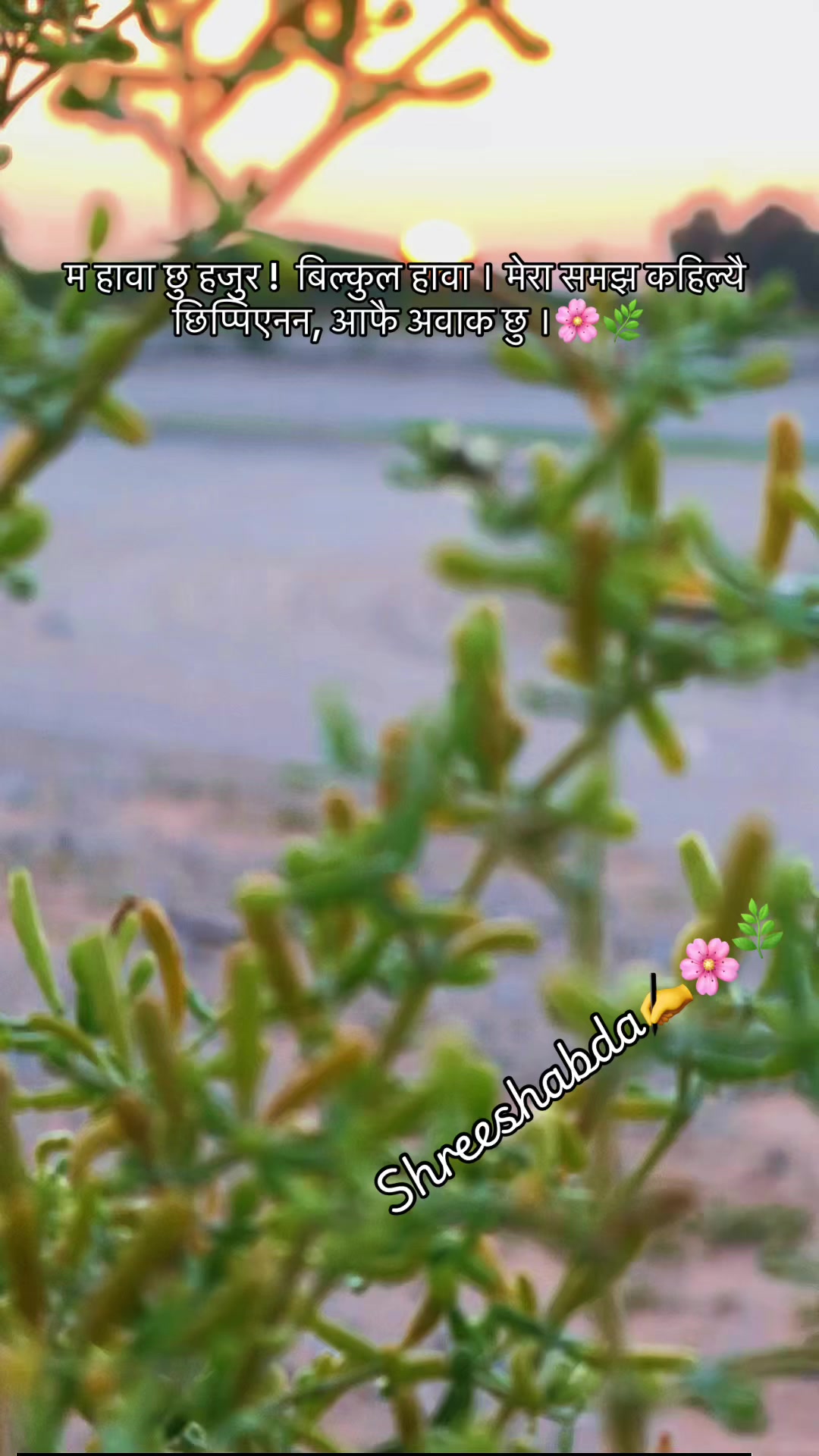 @🌿श्रीशब्द&hellip;.✍️🕊️🍁🍂