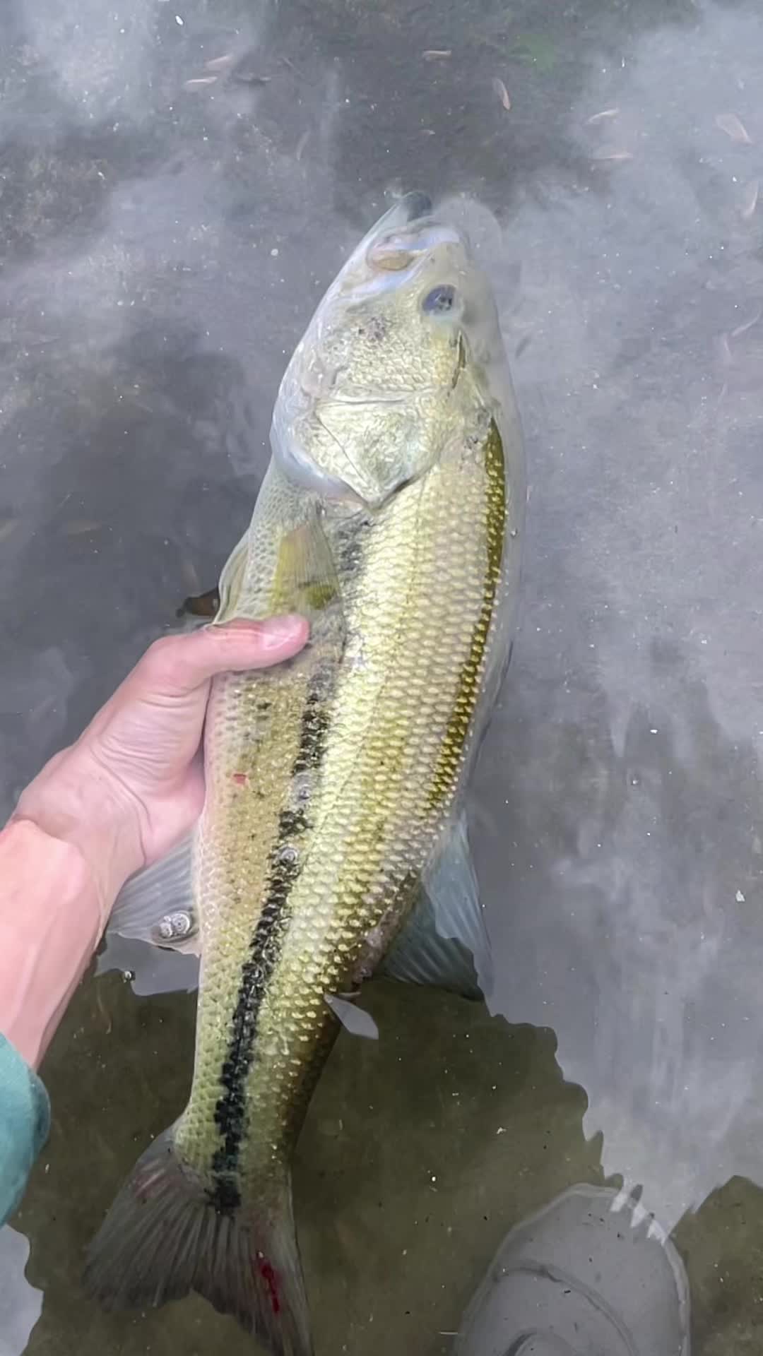 @sams.fishing_