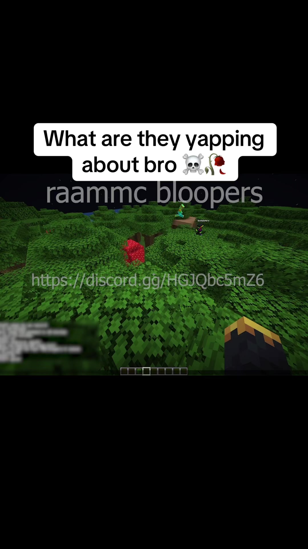 @yayc0b