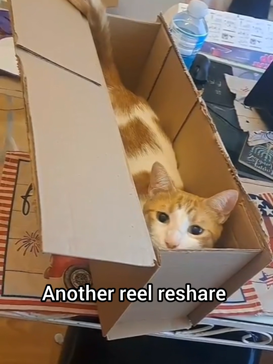 @Candice & Weasley