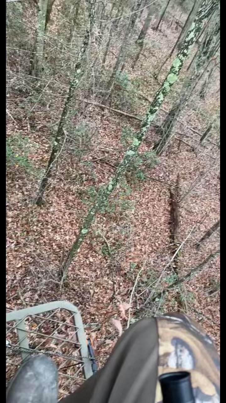 @R_exKen12