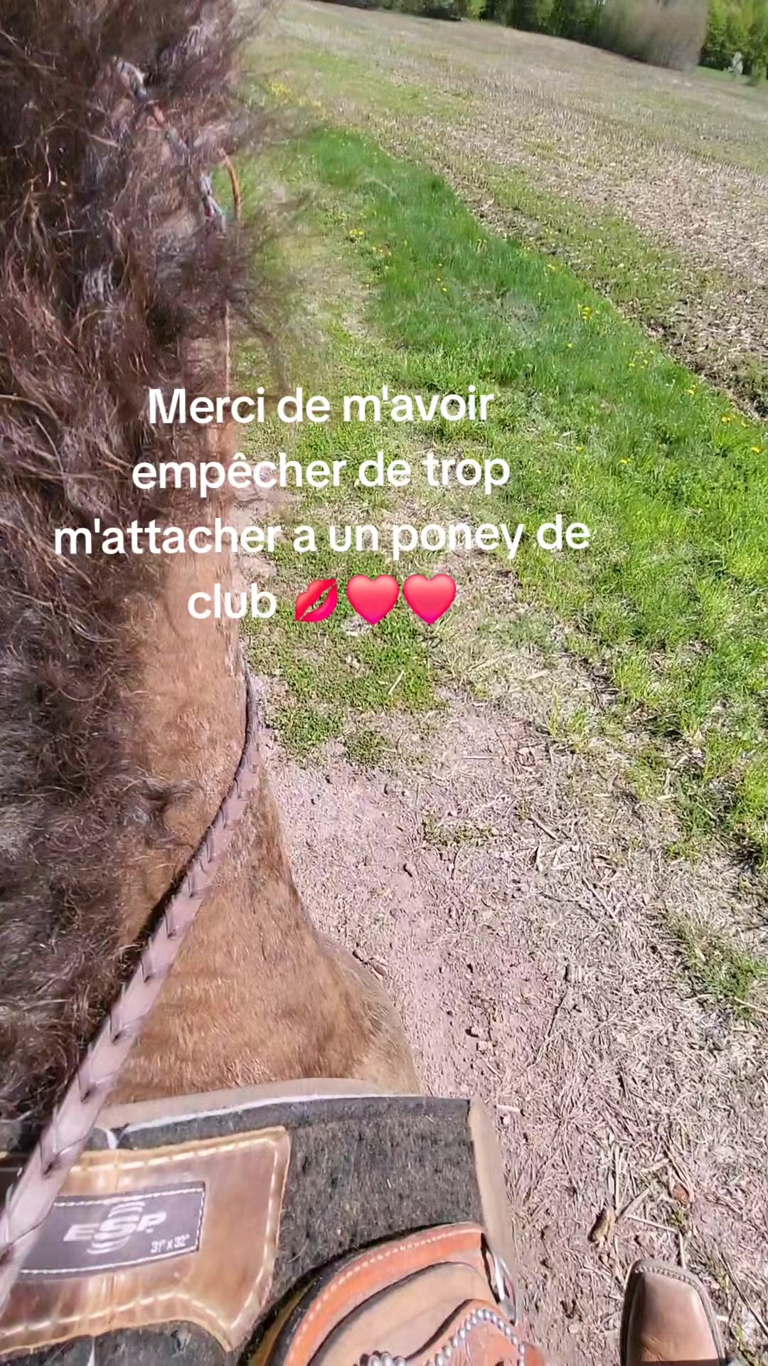 @🤠Rox🐴