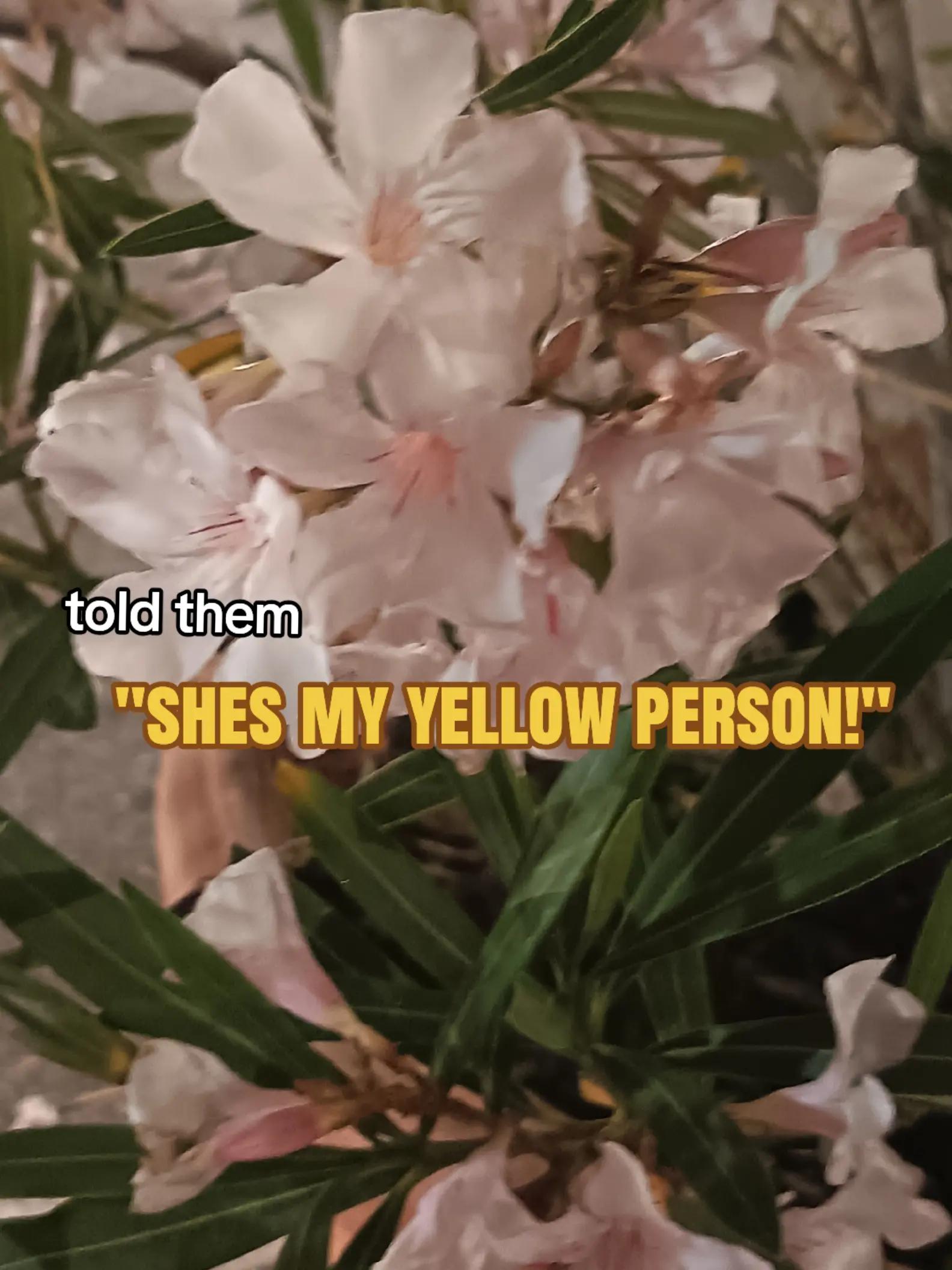 @✮𝄞𝓑𝓲𝓵𝓵𝓼.𝓜𝓲𝓵𝓵𝓼&trade;𝄞✮