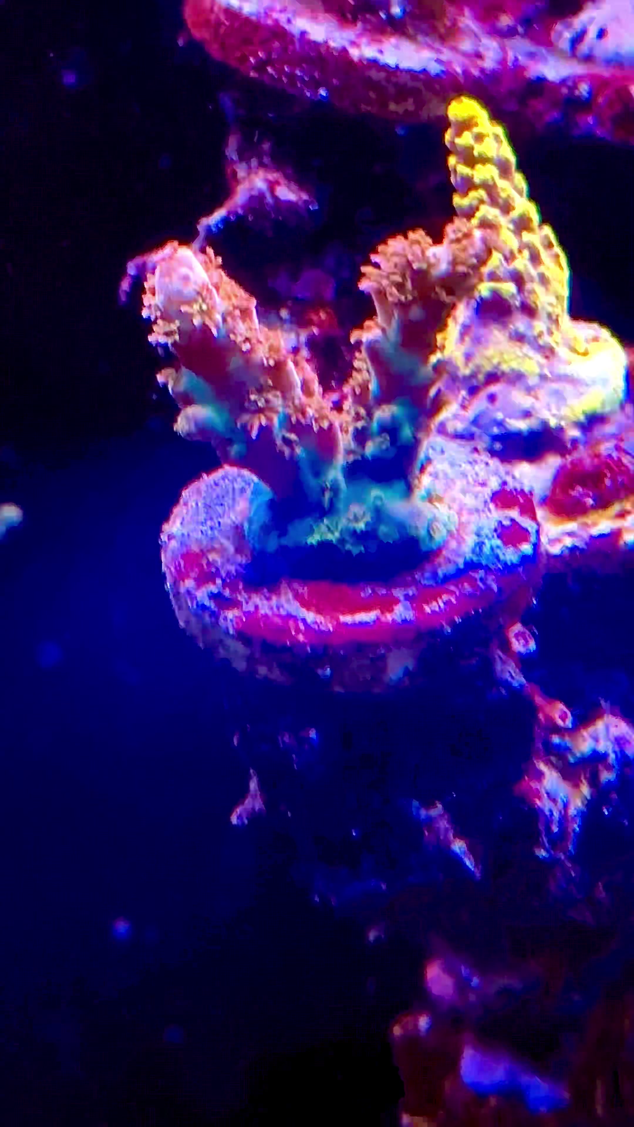 @SaltWaterShane