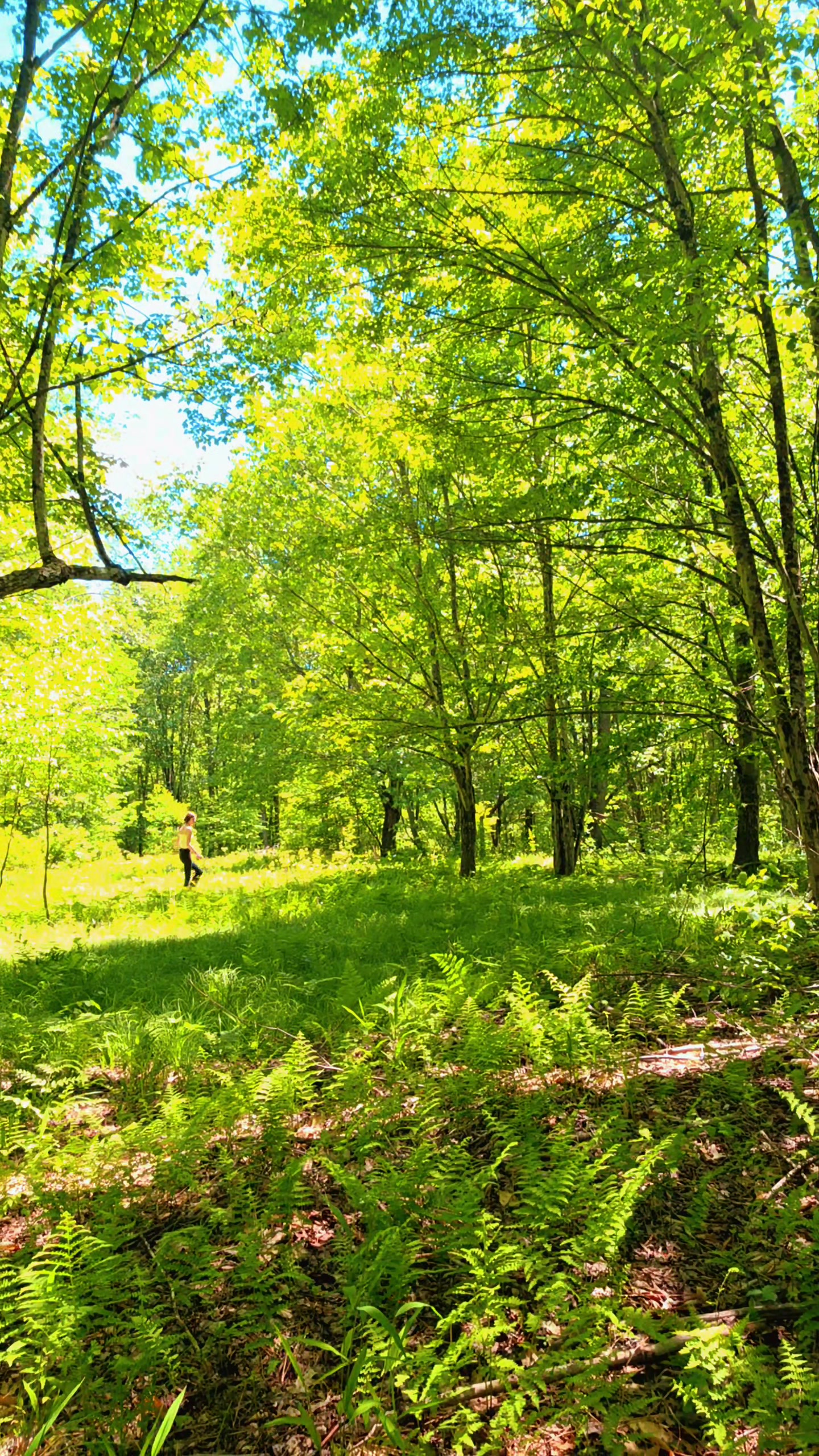 @Ciara &bull; Adventure || Nature &bull;