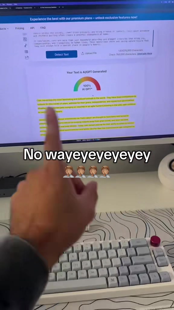 @Text-Polish