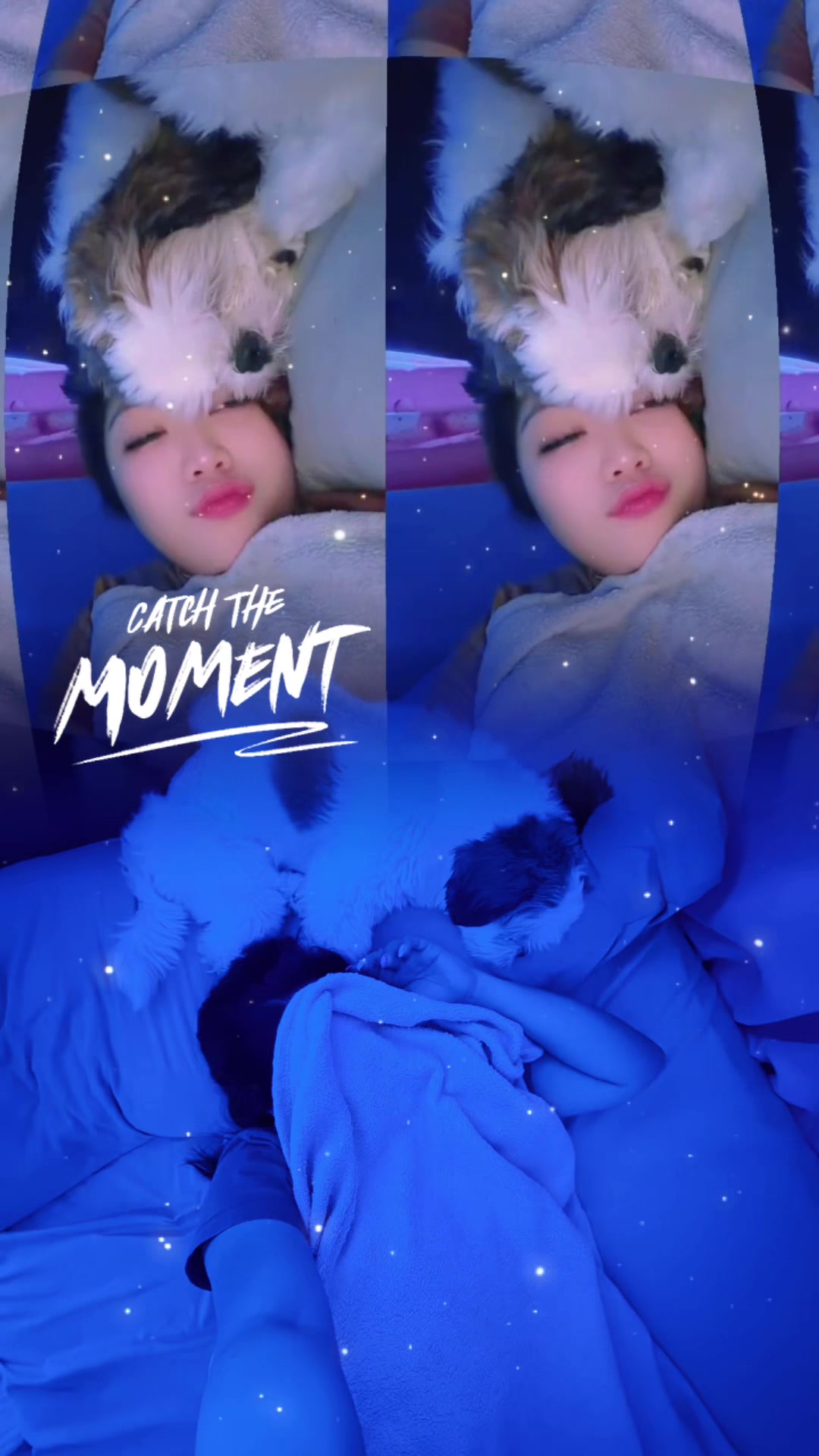 @ษฆโส โ ๐๐๐ค๐ฅ๐๐ฃ ๐ธ๐๐๐ช๐ฉต