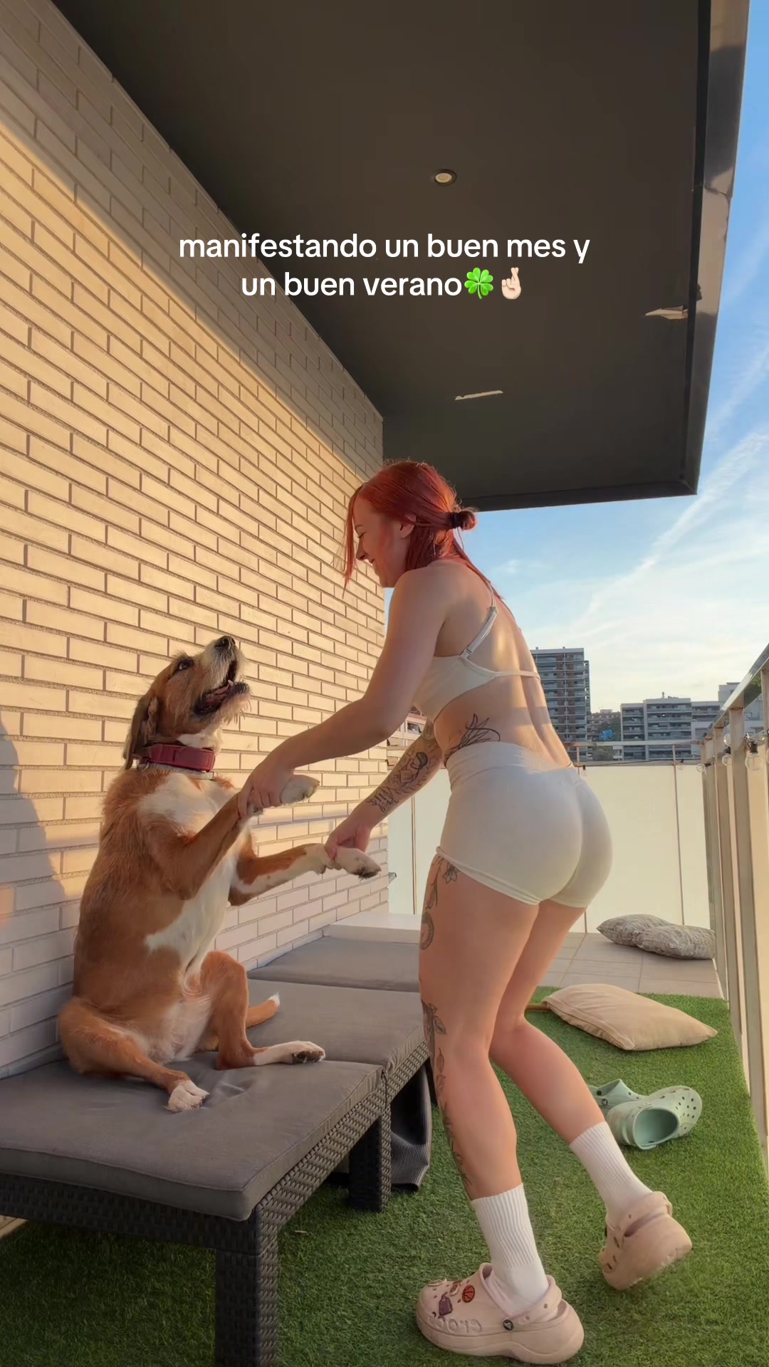 @arigeli