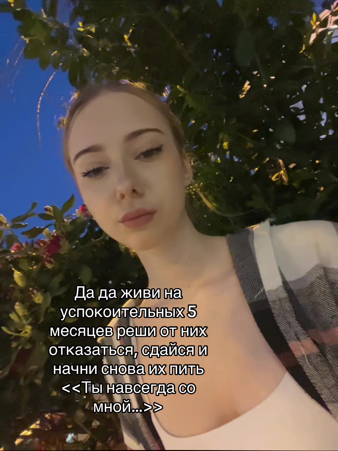 @stella_