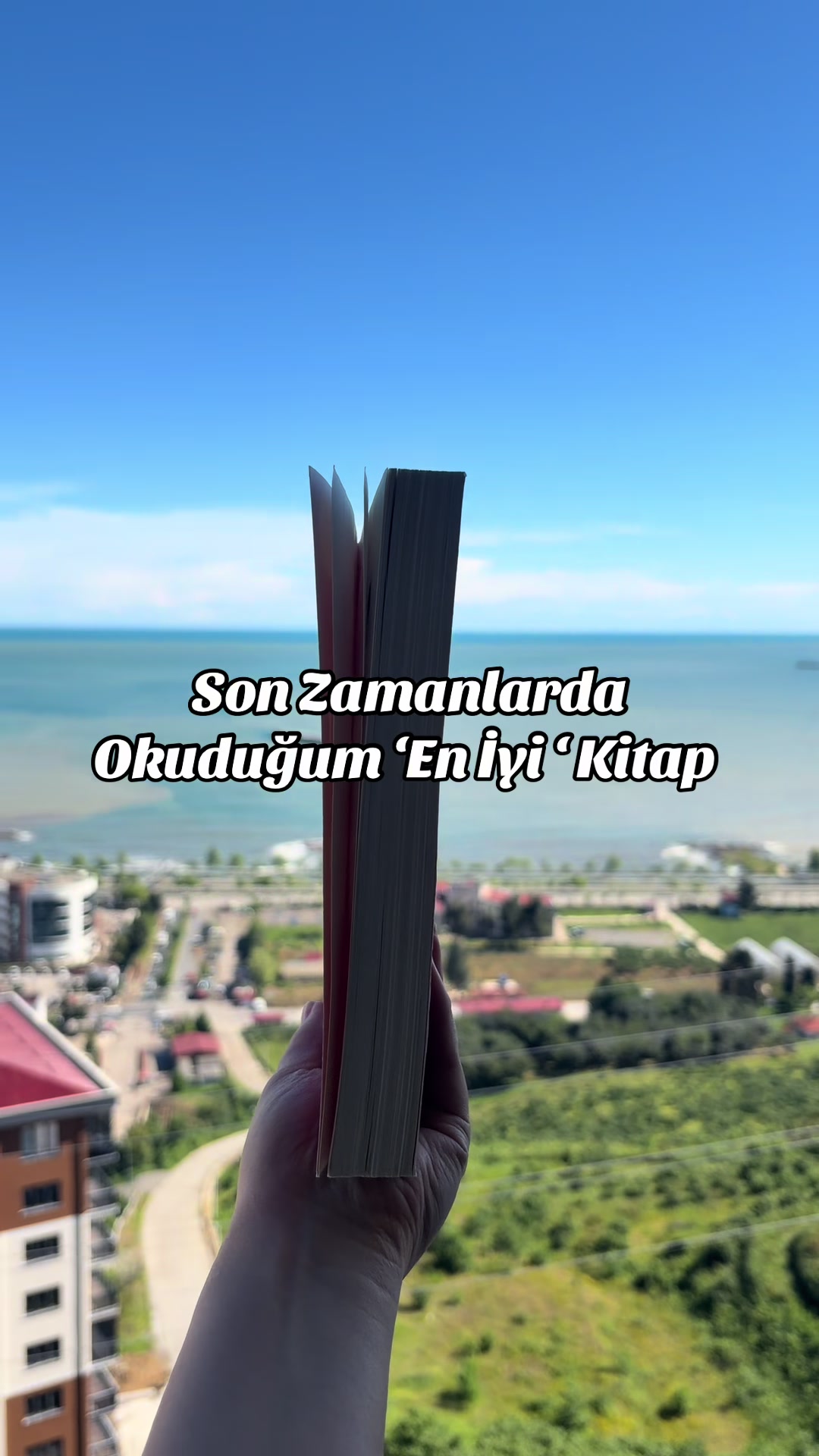 @İstanbul Kedisi