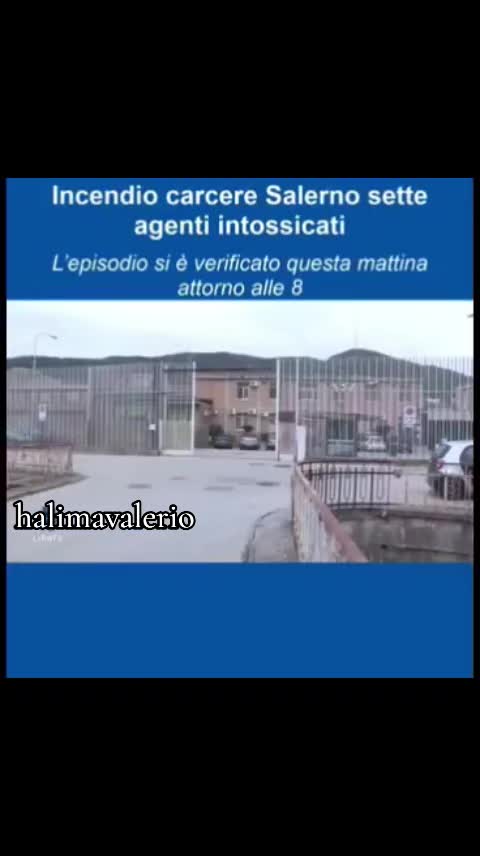 @halima_Valerio