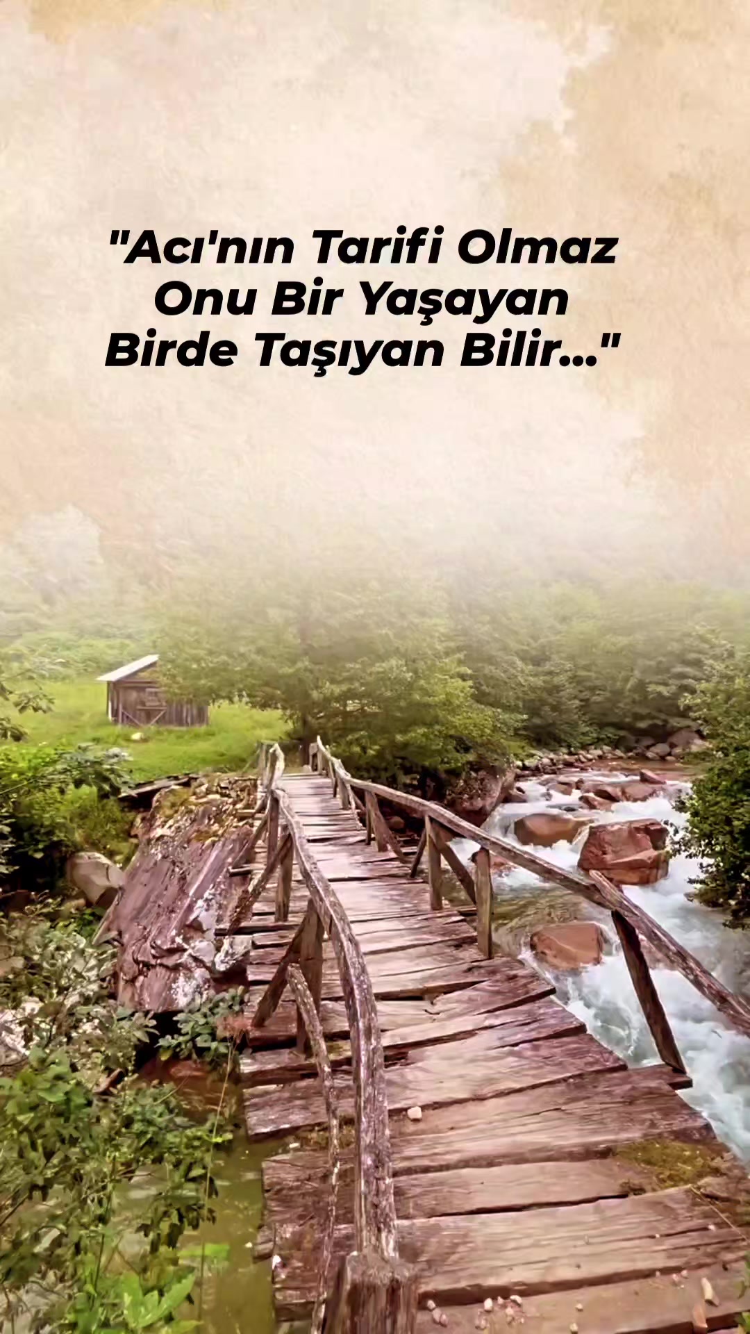 @𝐊𝐚𝐲𝐛𝐨𝐥𝐚𝐧 𝐲ı𝐥𝐥𝐚𝐫