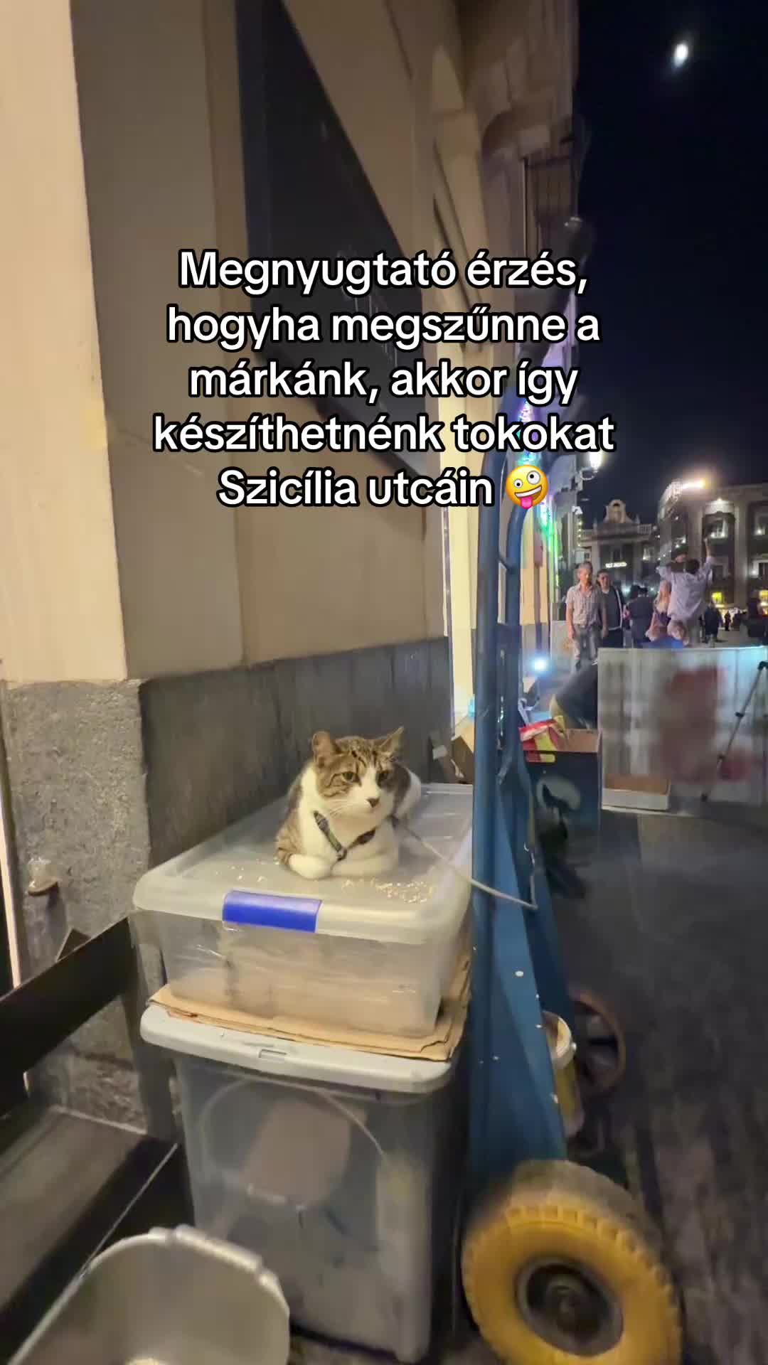 @Kovács Anna | #case 🤍