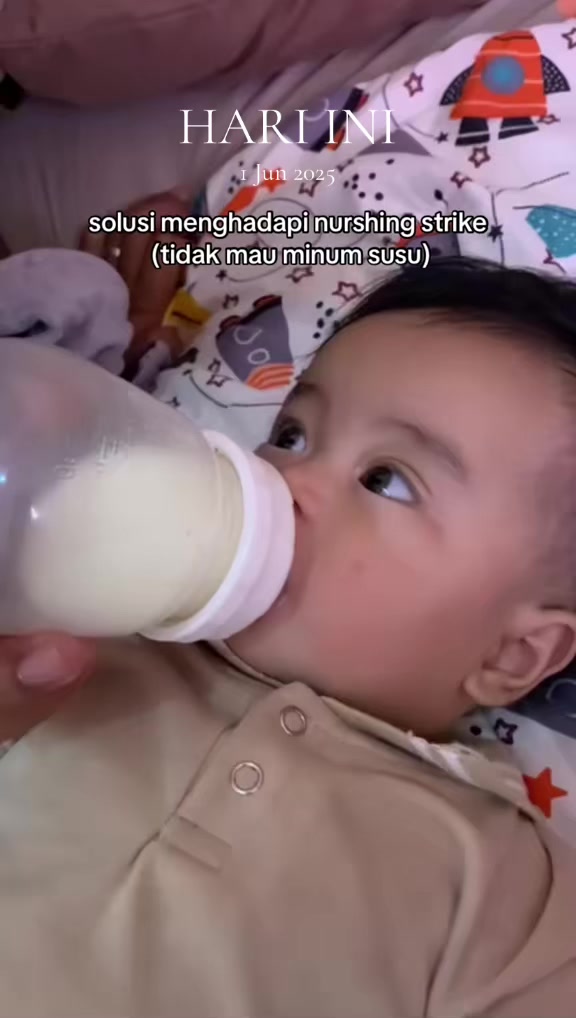 @seputarbumil