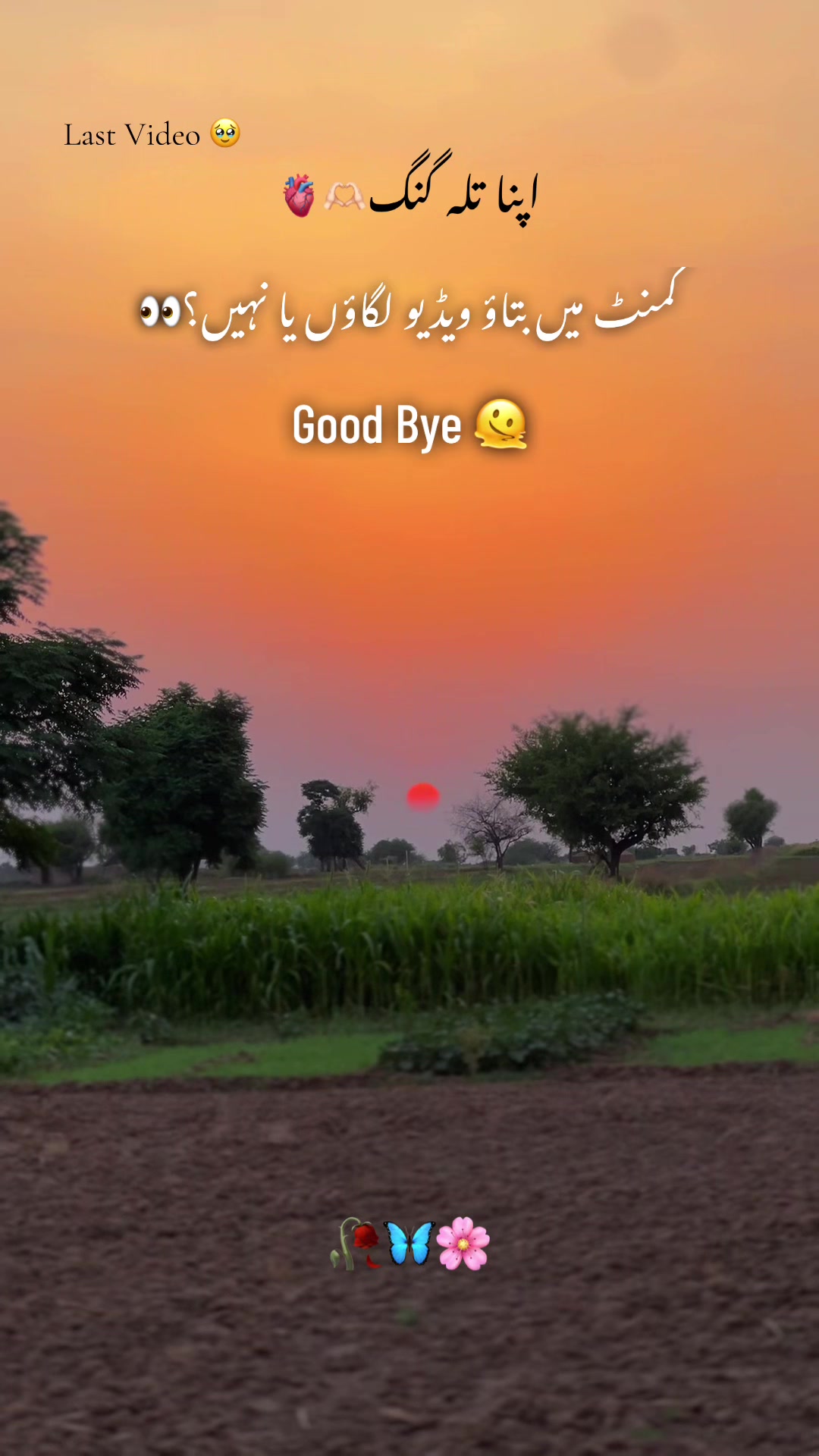 @🍁اپنا تلہ گنگ🦋🌸🥀