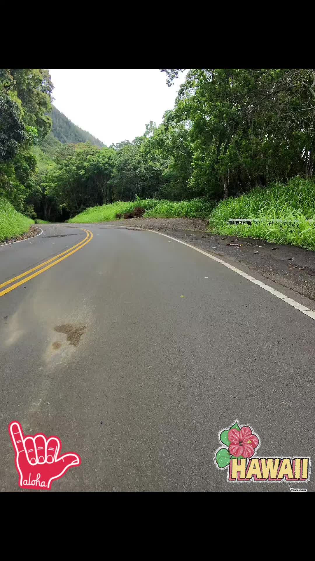 @ESENCIA PURA