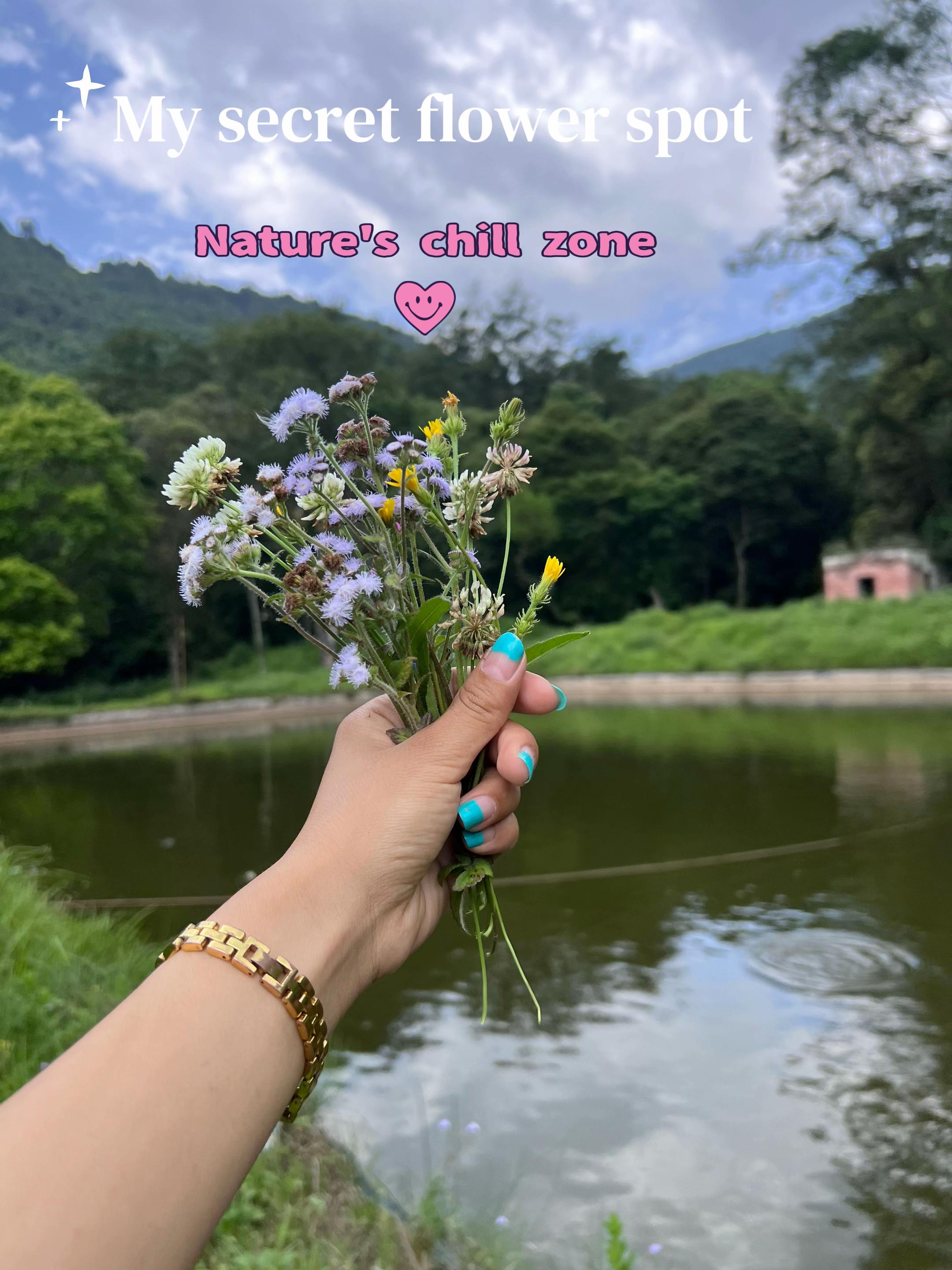 @BHUMIKA~🕊️
