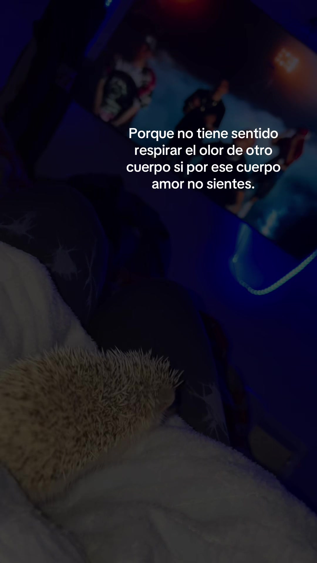 @yoestoybiensola