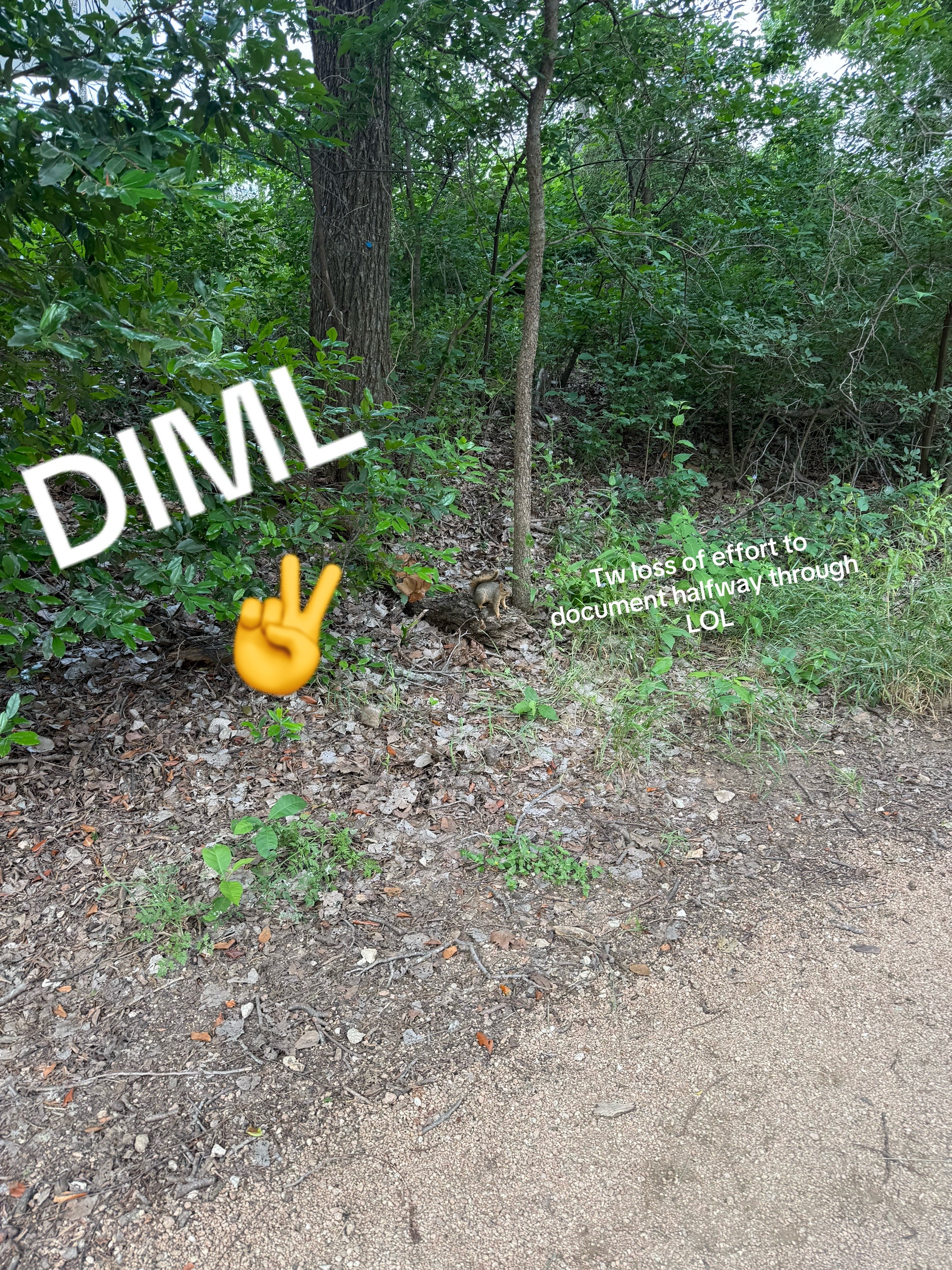 @ELLE! 🤸&zwj;♀️🌲😆🐛🌷🐻
