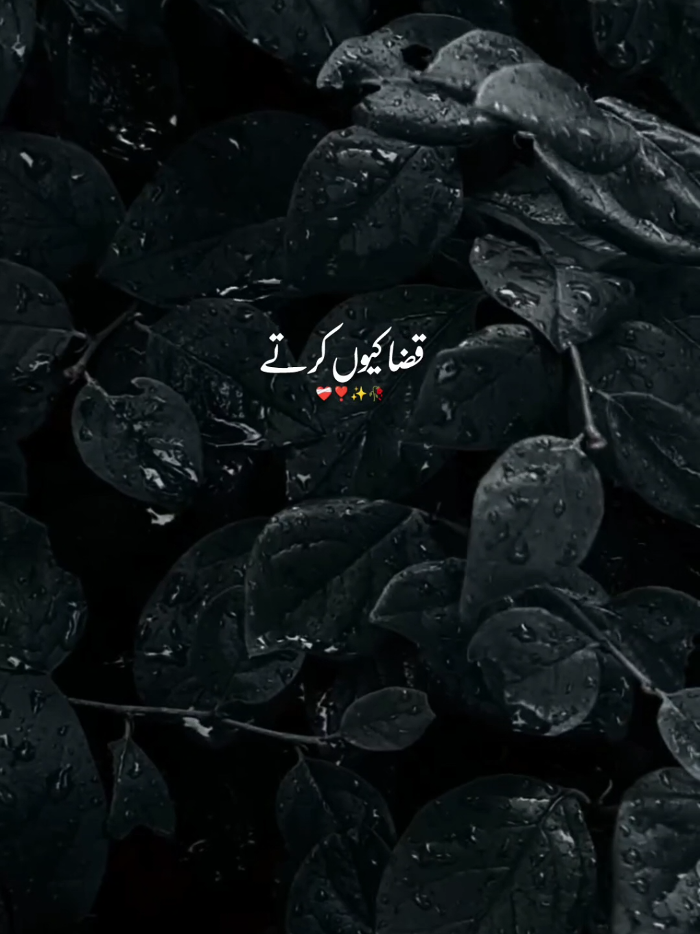 @💘💔زخمی دل💔💘