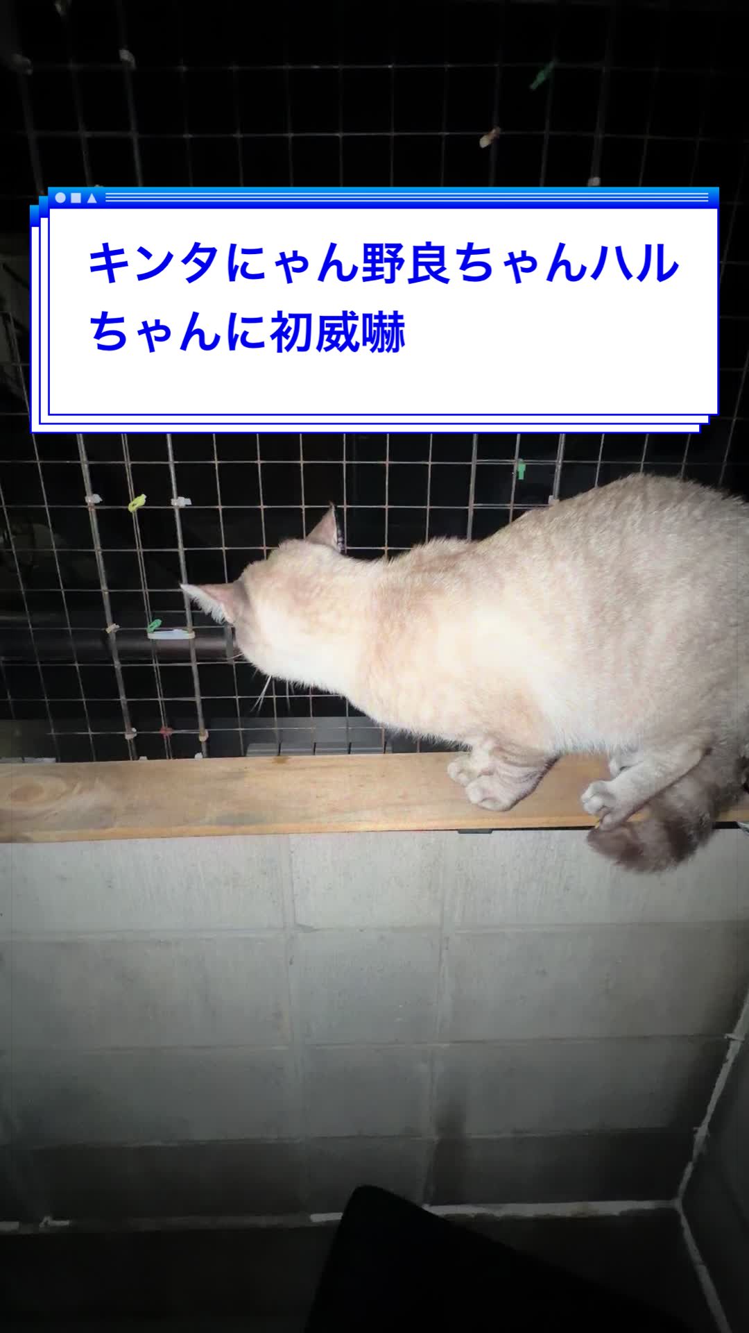 @🥀黒澤正志🥀