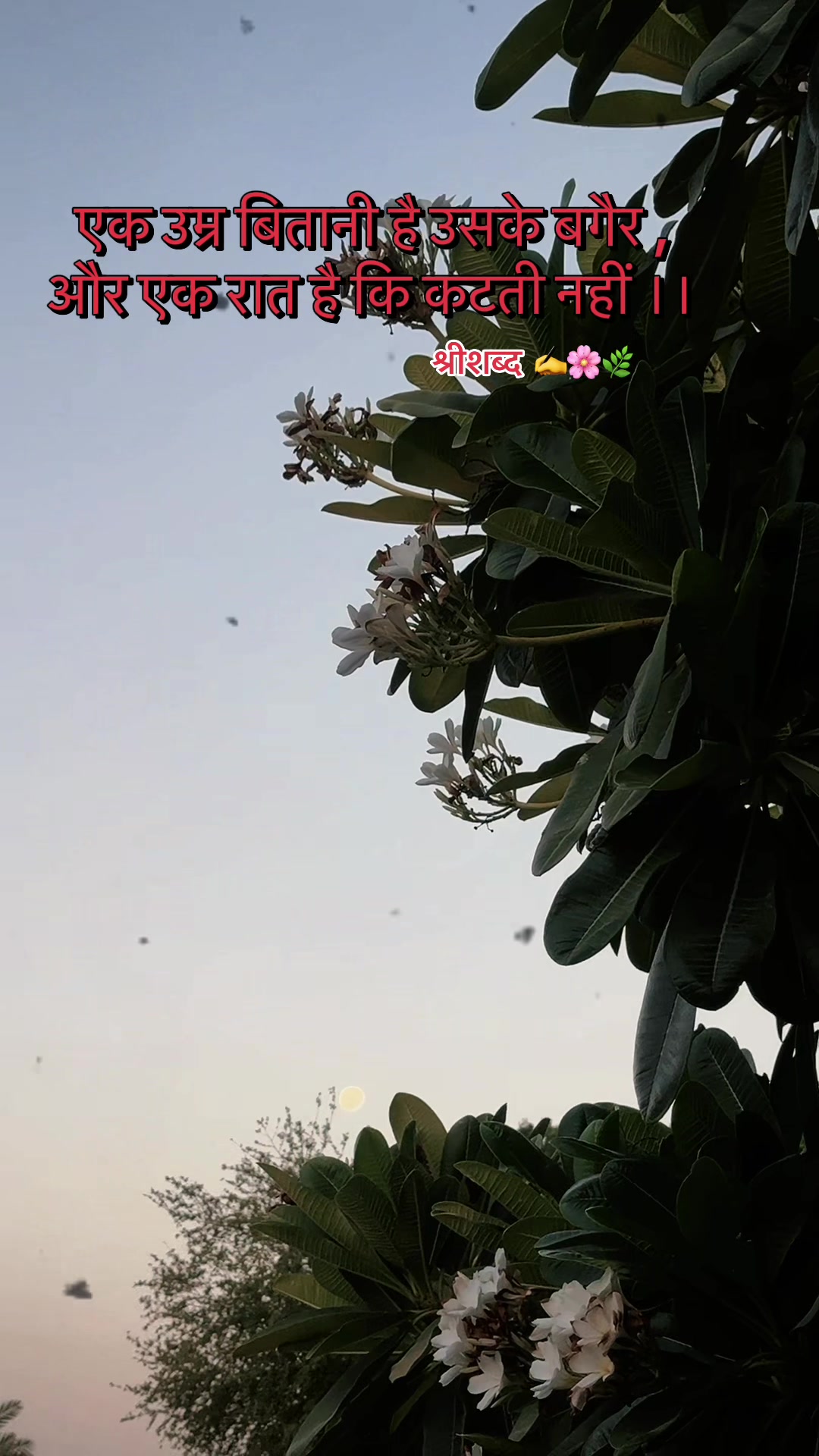 @🌿श्रीशब्द&hellip;.✍️🕊️🍁🍂