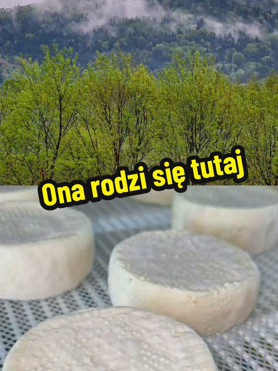 @Ania z Bieszczadzkiej Hecy🇵🇱