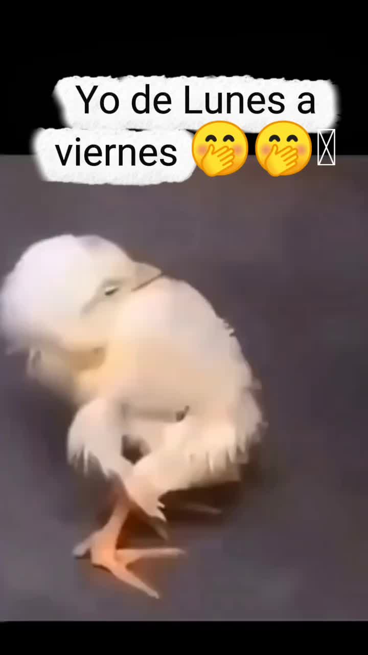 @diablito_3c
