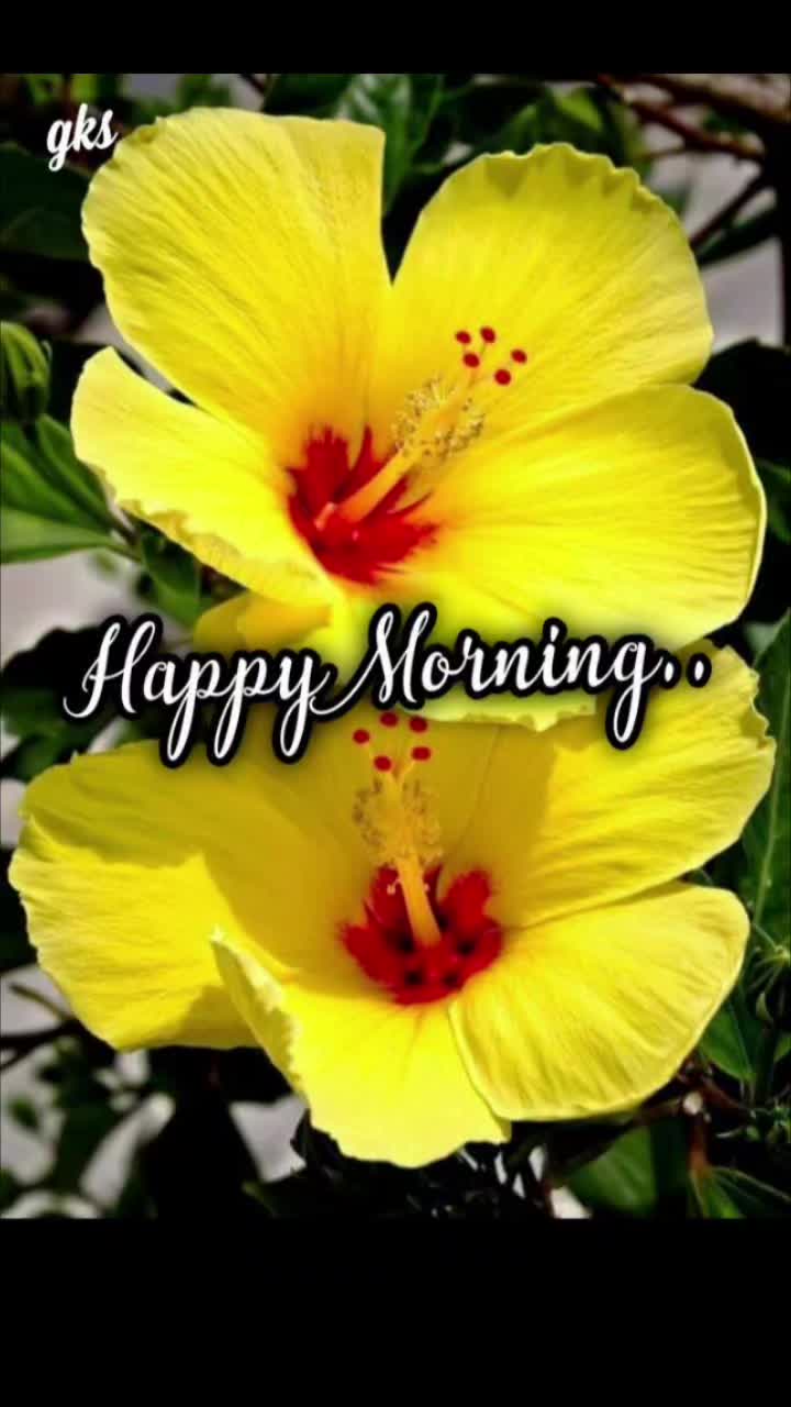 @Sai Meena