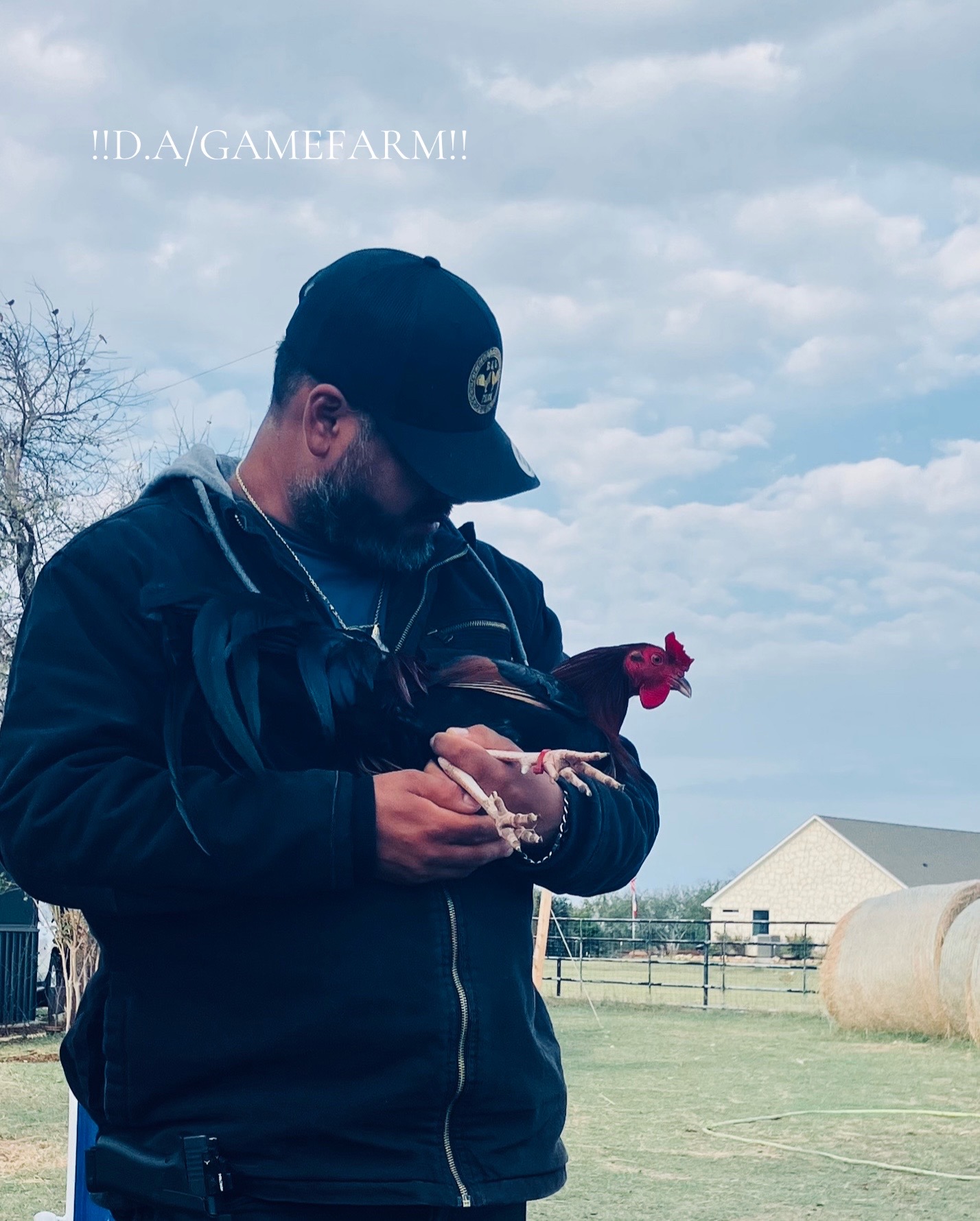 @DAgamefarm