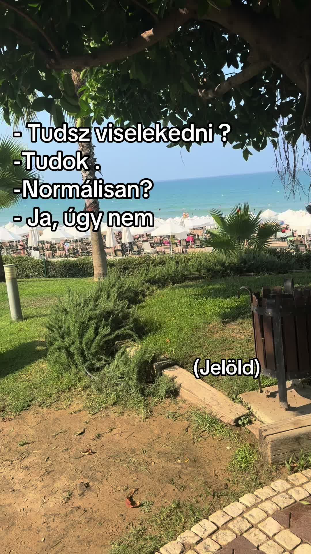 @lady_bllvcs