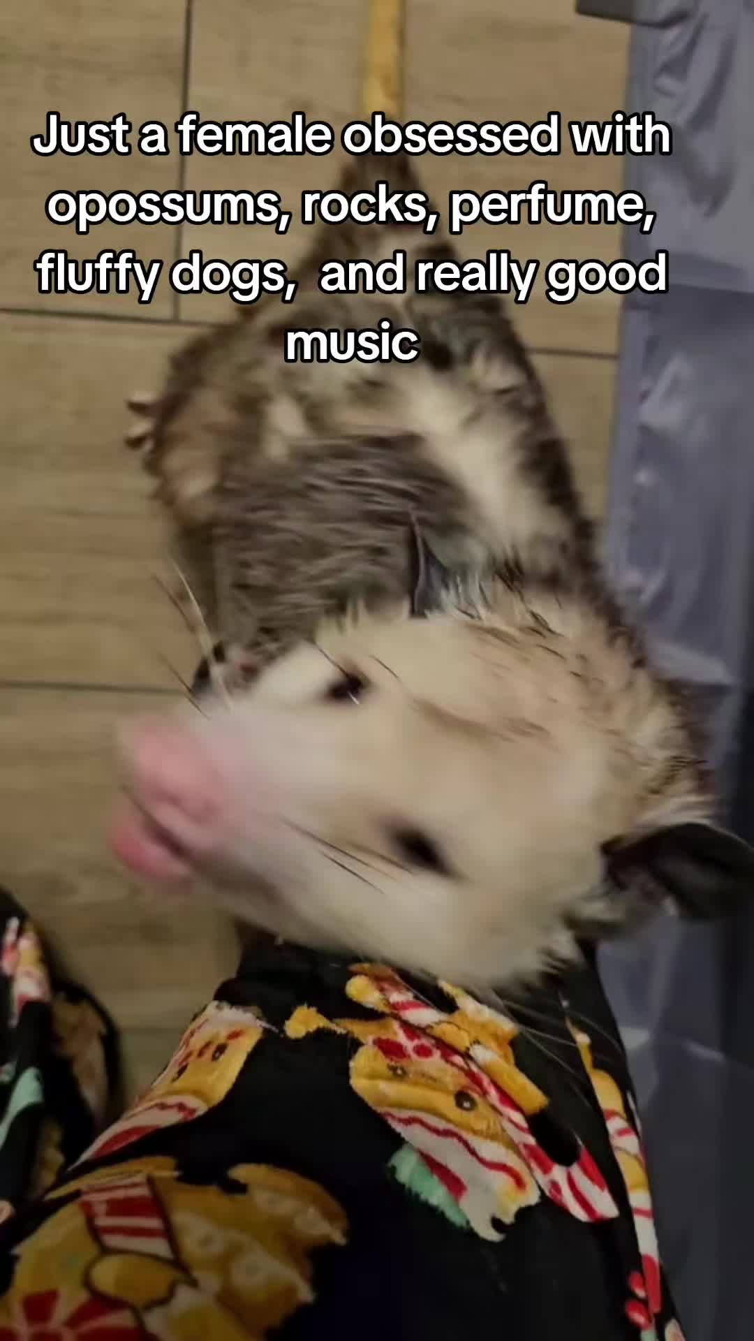 @OPOSSUMDAWGMOM
