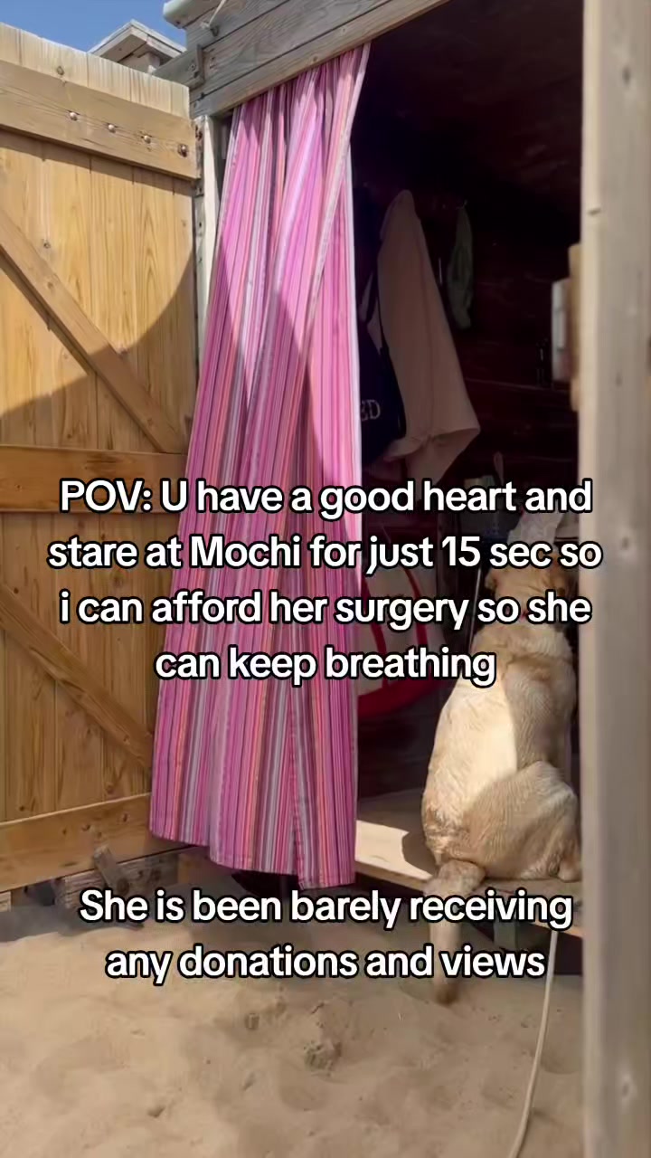 @janedoect01