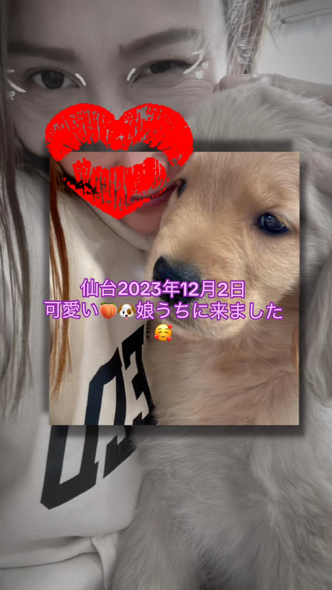 @ACIKA🇯🇵🇲🇨MOMO🍑🐶